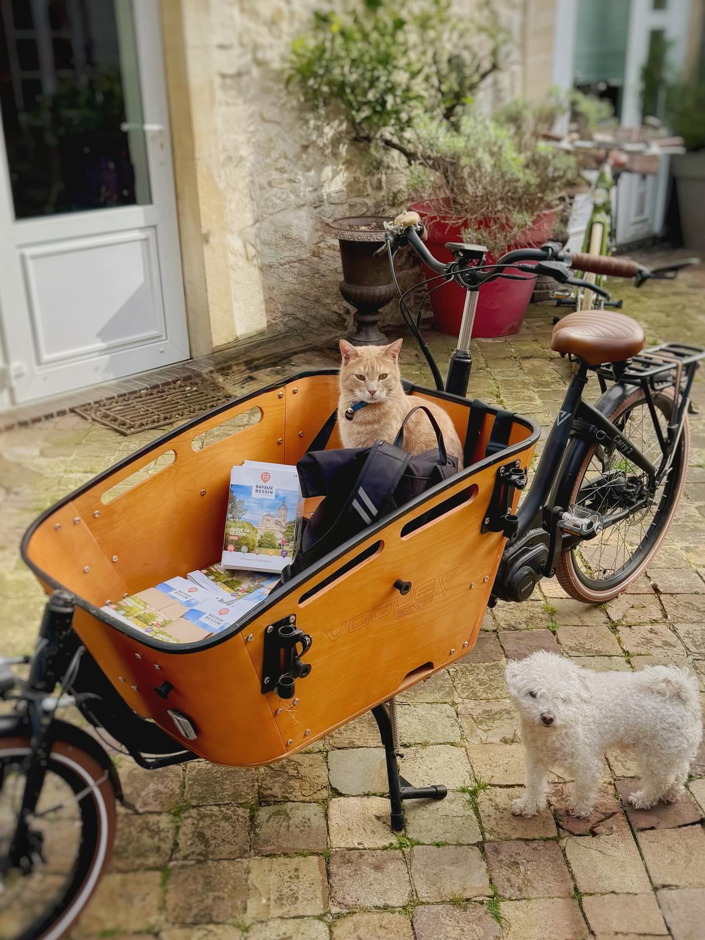 The new guides are here ☺️