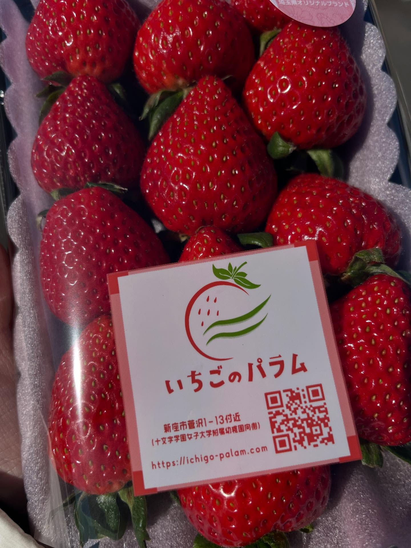 こんにちは😊
患者様に教えて頂いて、直売所に行ってきました✨
『いちごのパラム』さんです🍓
新座市にあります!
直売所に入った途端、イチゴのいい香り…🍓
あまりん🍓初めて食べましたが、、びっくりするぐらい、本当に美味しかったです!
もちろん他の品種の🍓も、どれも美味しくて、いちごも真っ赤でツヤツヤでした✨
今度はいちご狩りに行ってみたいです🍓
一度食べてみてください、お勧めです😊
#いちごのパラム
#あまりん
#新座市
#にしきおりペットクリニック
#往診専門動物病院