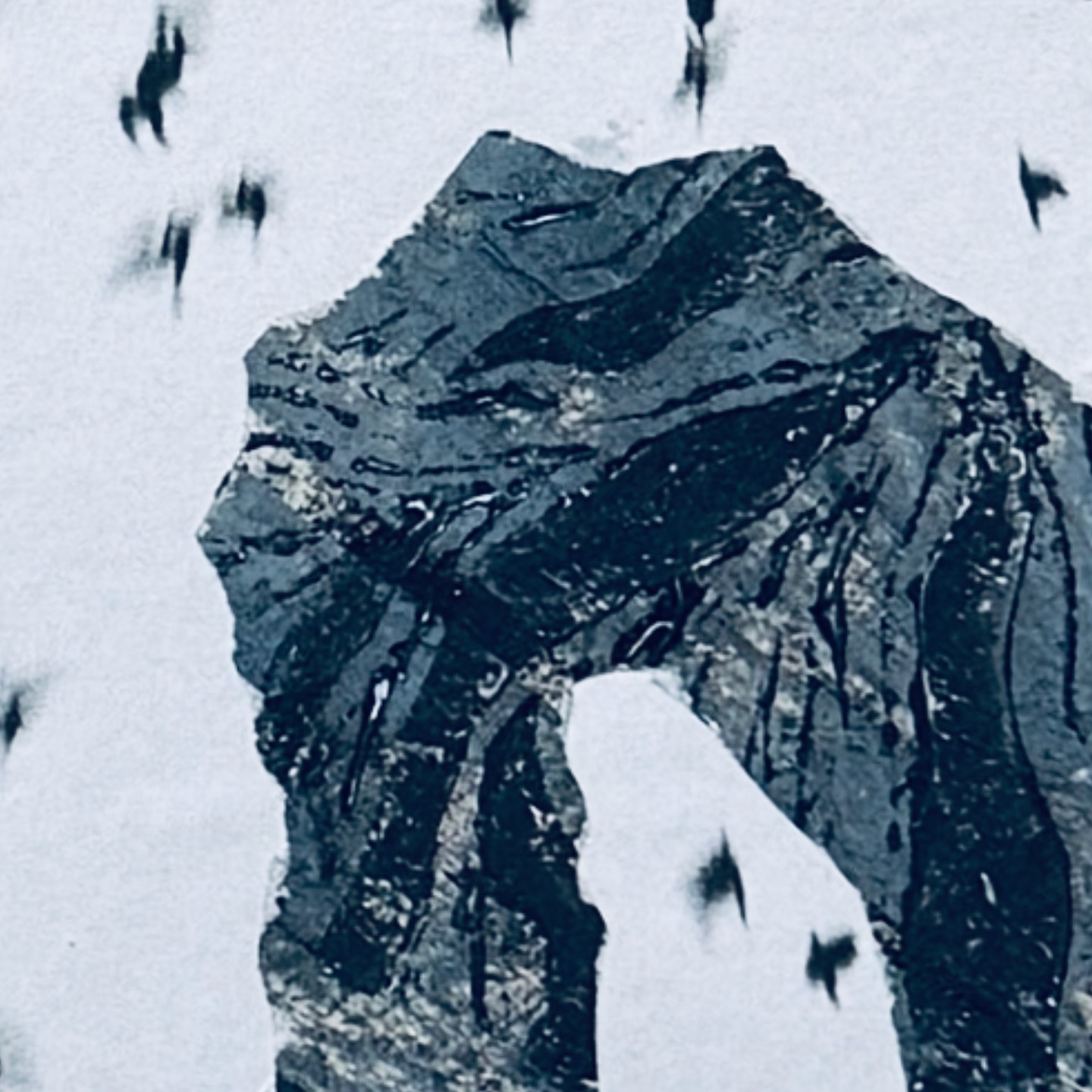 One of five #rooks artcards available this week from the @bridge_house_art exhibition at @antallasolais.
(Or direct from me after 8 March)