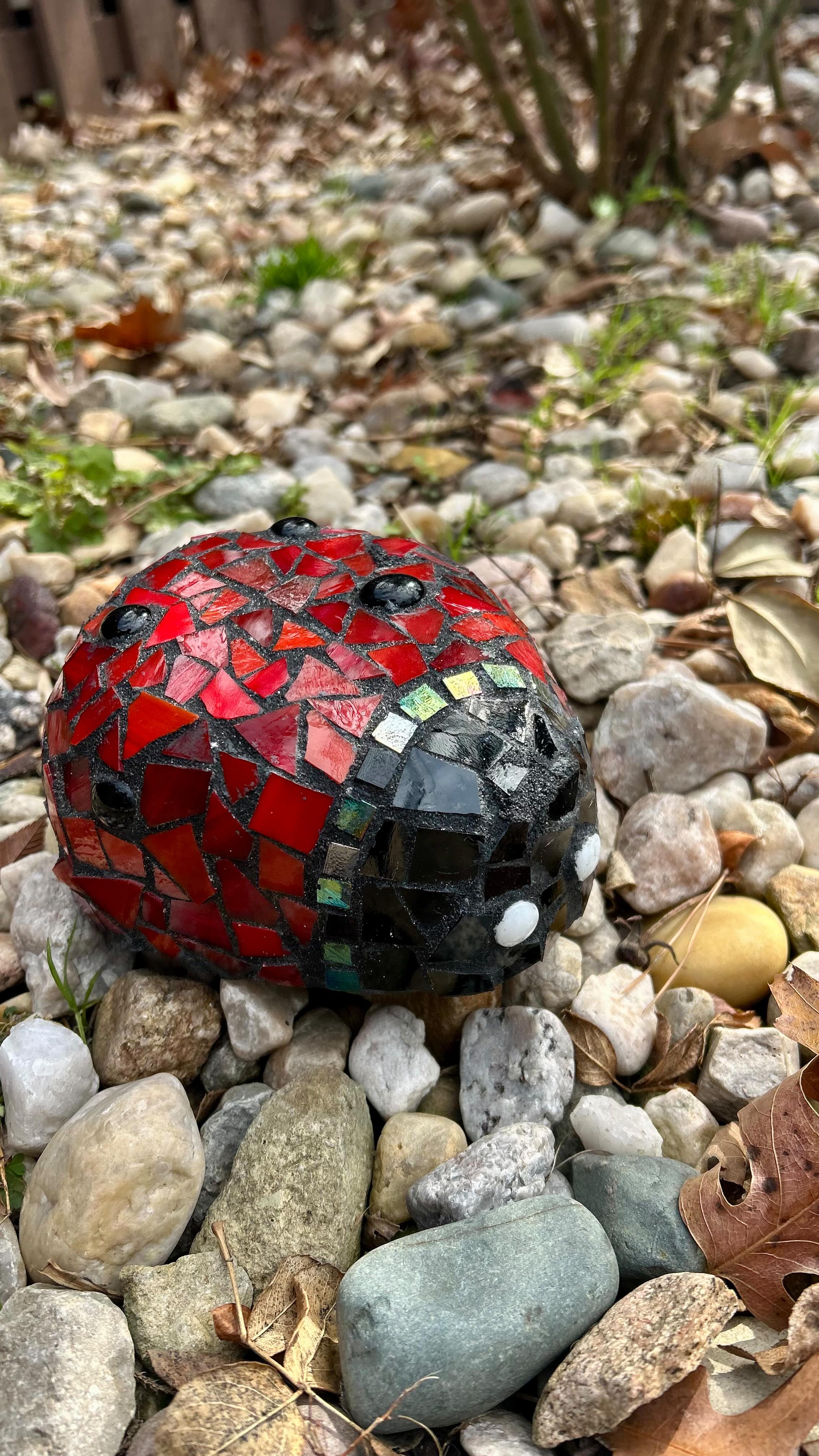 Sharing a process video of an outdoor ladybug in 3 minutes!🐞🥰
Actual process took days!😅🦾
Make your own at my next 2-day Outdoor substrate workshop May 16 & 17! Register @ www.mosaicsbymima.com
See you soon! 💕
#mosaicos #mosaicsbymima #guildofcharlotteartists #mosaiclife