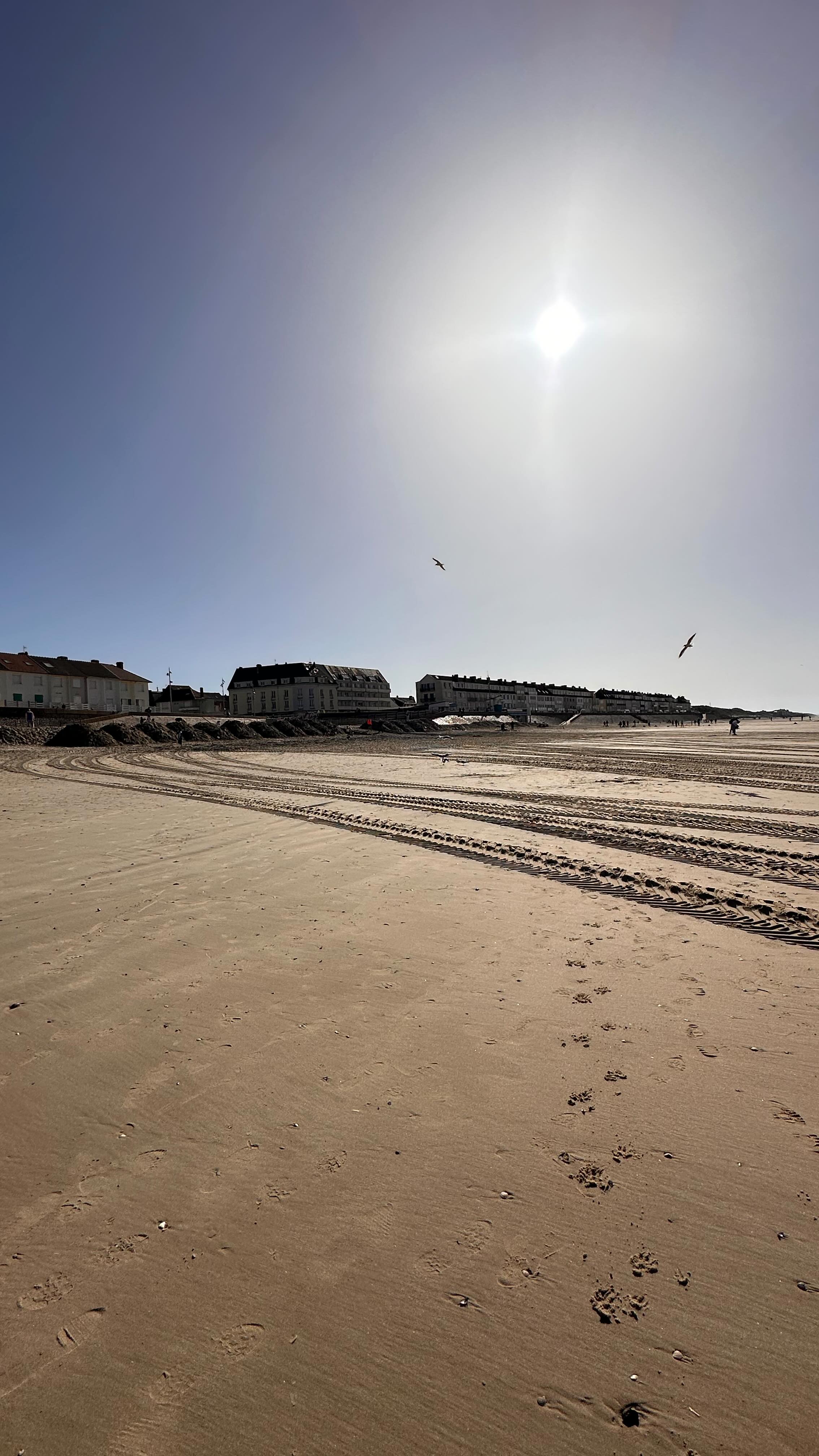 #somme #picardie #lasommeblog #lasommemonamour #fortmahonplage