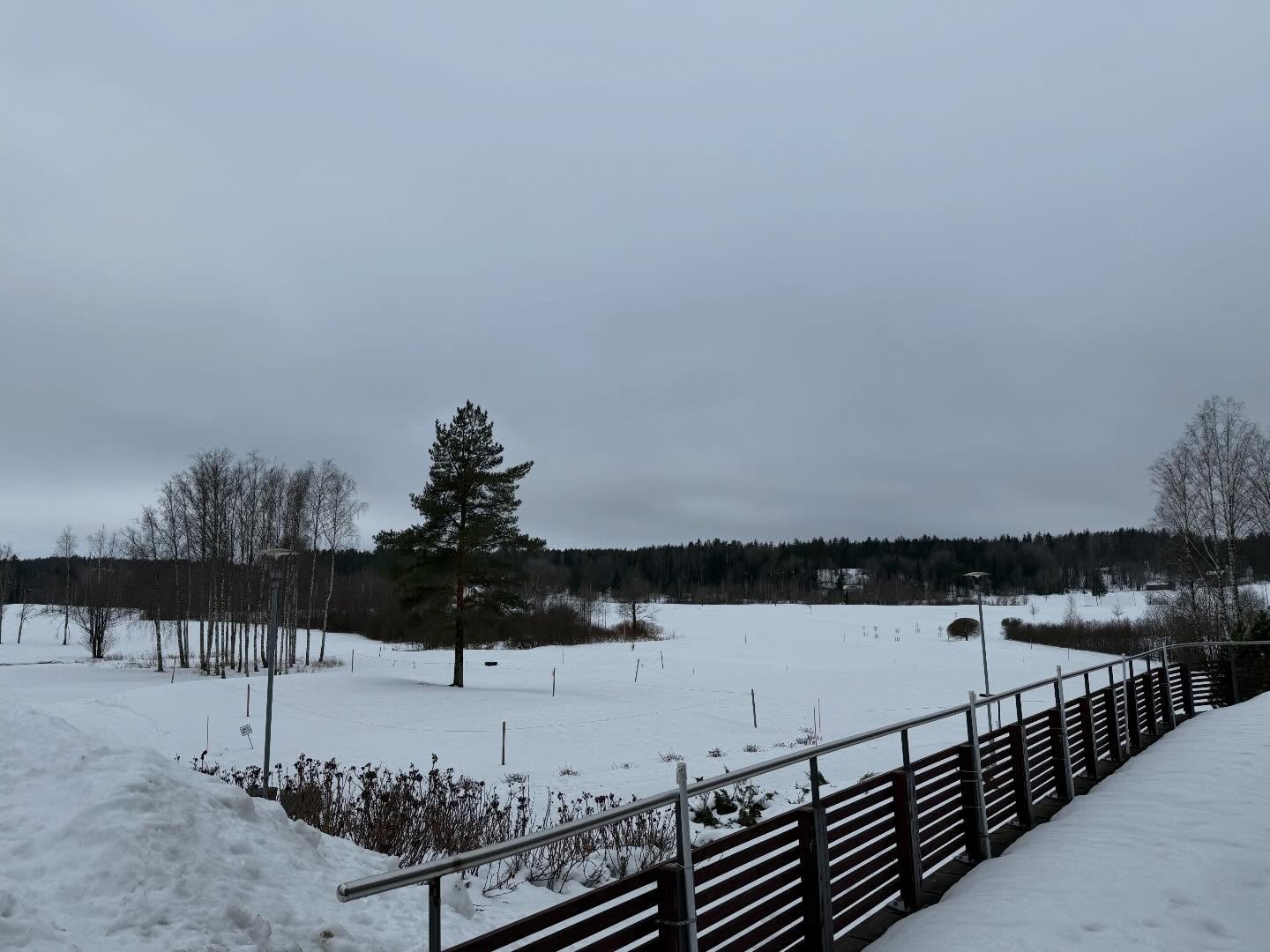 Päivän tilanne. +4 C