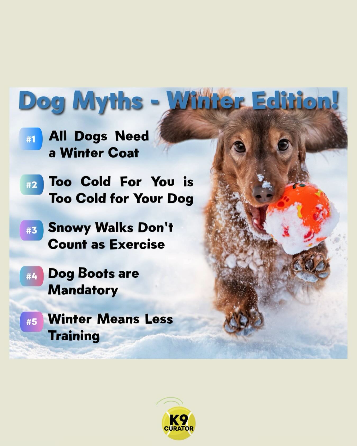 Even if your pooch loves the snow like ours, it’s important to consider certain things during and after a blizzard! ❄️🌨️ Stay safe out there furr-ends!
