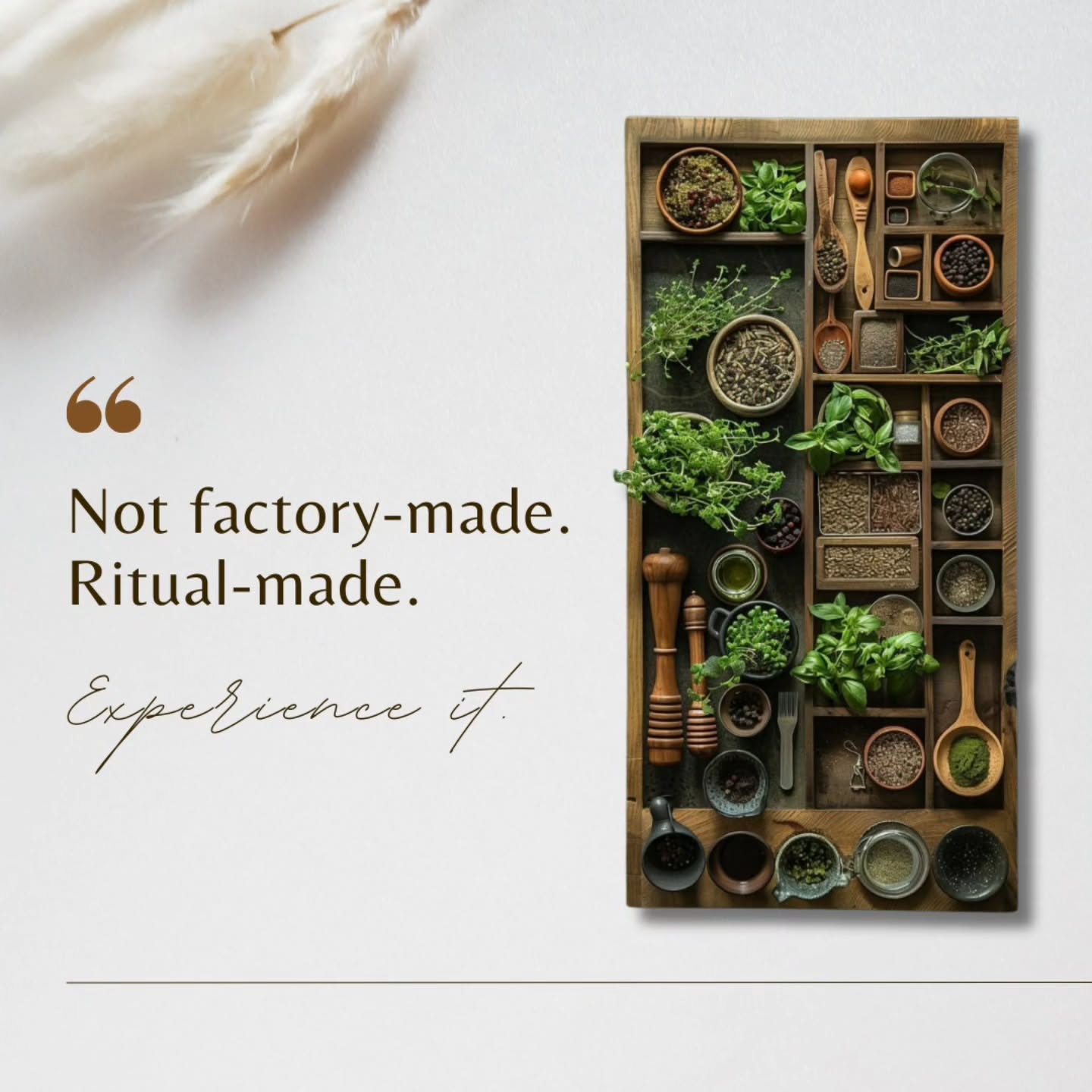 We don’t believe in shortcuts.
We believe in roots.
In herbs that heal.
In oils that strengthen.
In hair care that begins at the scalp — not in a lab.
Every Back2theRootss blend is inspired by tradition and crafted for modern resilience — because healthy hair starts with conscious rituals.
This is clean beauty.
This is plant-powered hair care.
This is going back to what works.
#Back2theRootss #AyurvedicHairCare #PlantBasedBeauty #CleanHairCare #ScalpHealth