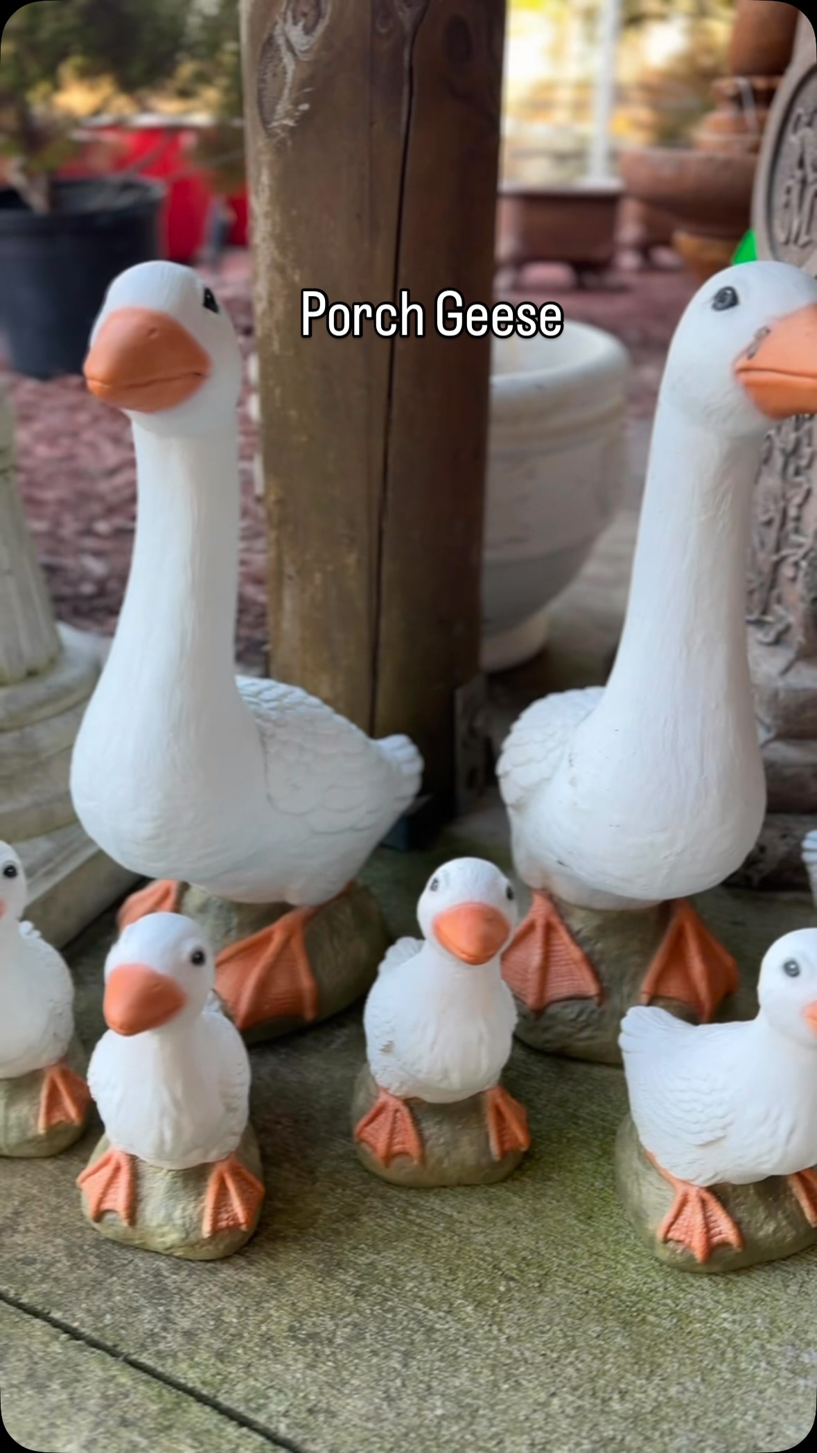 Omigosh! These geese are the cutest!! And they have babies!
Who needs this on their porch?!
#gardencenter #porchdecor #gardendecor #encgardencenter