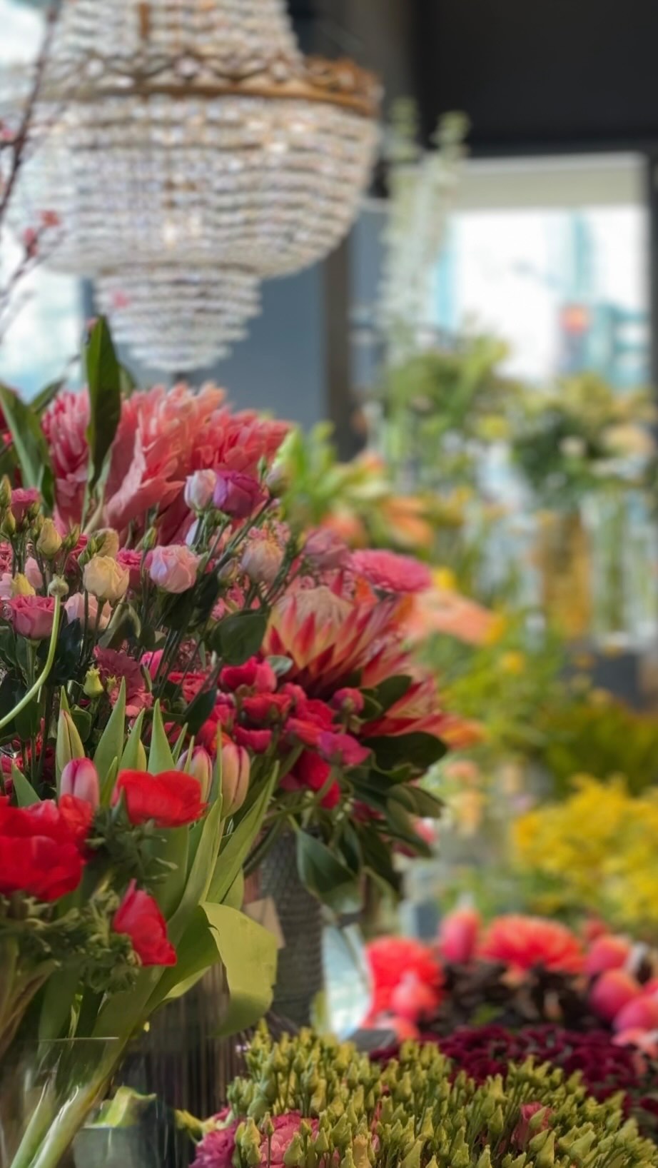 Von hier bis zum Horizont – unser Blumentisch leuchtet jetzt in allen Farben und lädt euch ein, den Regenbogen entlangzuspazieren.
Kommt vorbei und entdeckt die größte Auswahl an frischen Frühlingsblumen. Ab sofort im Store in der Kantstraße.
#🌈 #regenbogen #frühlingsblumen #kiansgarden #loveislove