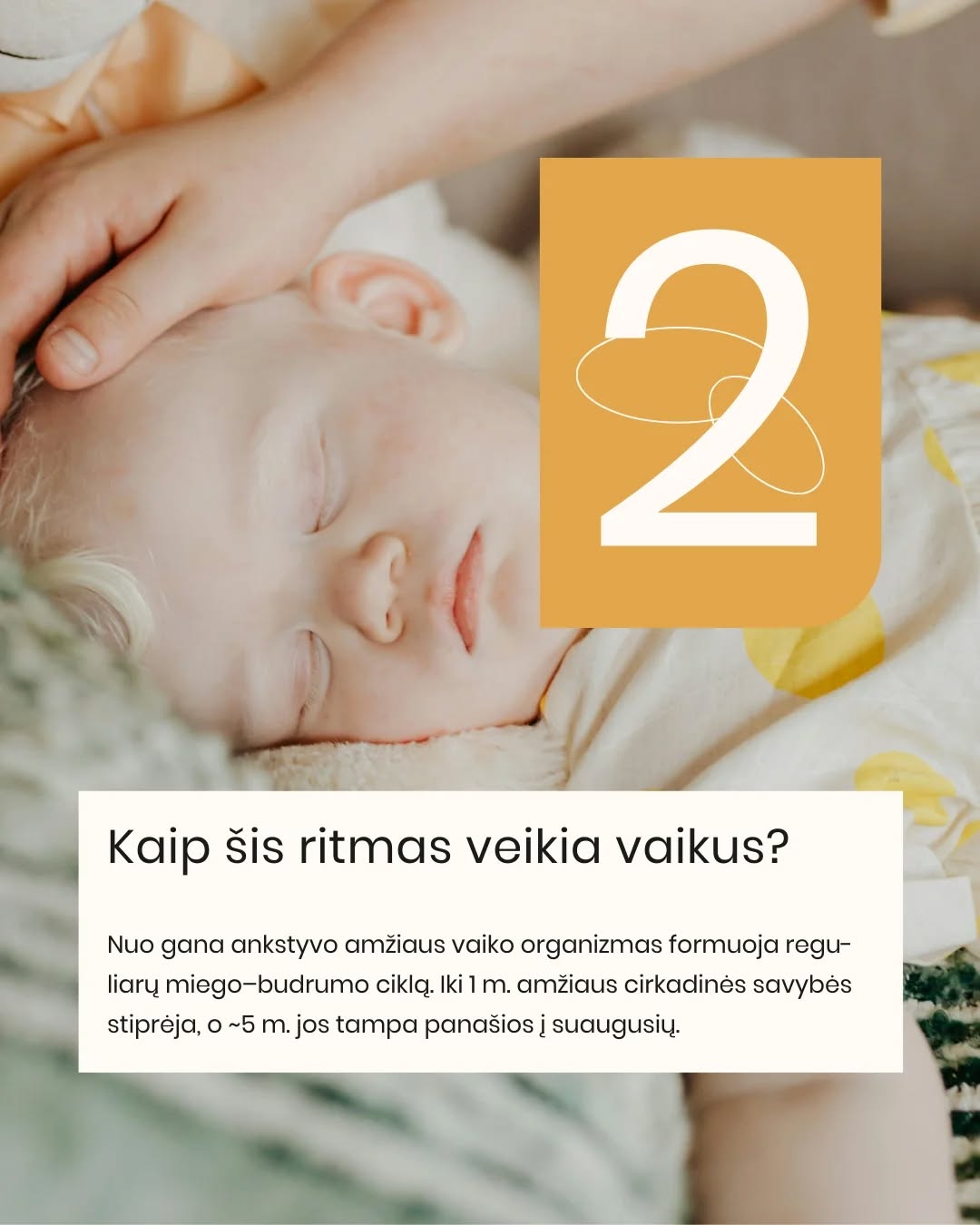 CIRKADINIS RITMAS. 🌙 Ar žinojote, kad vaiko miego ritmas nėra tik „gero įpročio“ reikalas? Tai biologinis procesas, kurį valdo cirkadiniai ritmai.
Cirkadinis ritmas – tai vidinis kiekvieno mūsų laikrodis, kuris organizme reguliuoja miego–budrumo ciklą, hormonų gamybą ir energijos lygį per ~24 valandas. Jis padeda kūnui natūraliai suprasti, kada jam laikas ilsėtis, o kada būti aktyviam.
🕰Vaikams šis ritmas formuojasi nuo pirmųjų mėnesių, o iki ~5 metų jis tampa vis stabilesnis ir panašesnis į mūsų, suaugusiųjų.
Tamsa skatina melatonino gamybą – hormono, kuris padeda užmigti. Šviesa, ypač mėlynos spalvos, atvirkščiai – signalizuoja organizmui, kad dar ne laikas miegoti.
👉 Nereguliarus grafikas ar netvarkinga diena gali „išmušti” šį ritmą ir apsunkinti užmigimą ar nakties poilsį.
ČIA į pagalbą ateina Purflo miego treniruoklis laikrodukas:
🔴 raudona šviesa – laikas ramiai lėtėti ir ruoštis miegui
🔵 mėlyna šviesa – rytas atėjo ir galime keltis
Tokiu būdu jūsų mažylis ima suprasti savo biologinį laikrodį per regimą ir lengviau nei žodžiai suprantamą ženklą – ir tai padeda kasdien palaikyti sveiką ritmą. ✨
🛒2025 m. „First time moms UK” apdovanojimų nugalėtoją „Snoozee“ laikroduką atraskite www.mylu.lt (ar per nuorodą bio).
Kovą jam -10% nuolaida!
#purflo #miegolaikrodis #mylushop #vaikumiegas #miegorutina miego superherojus tėvystė mamų gyvenimas purflo laikrodis snoozee