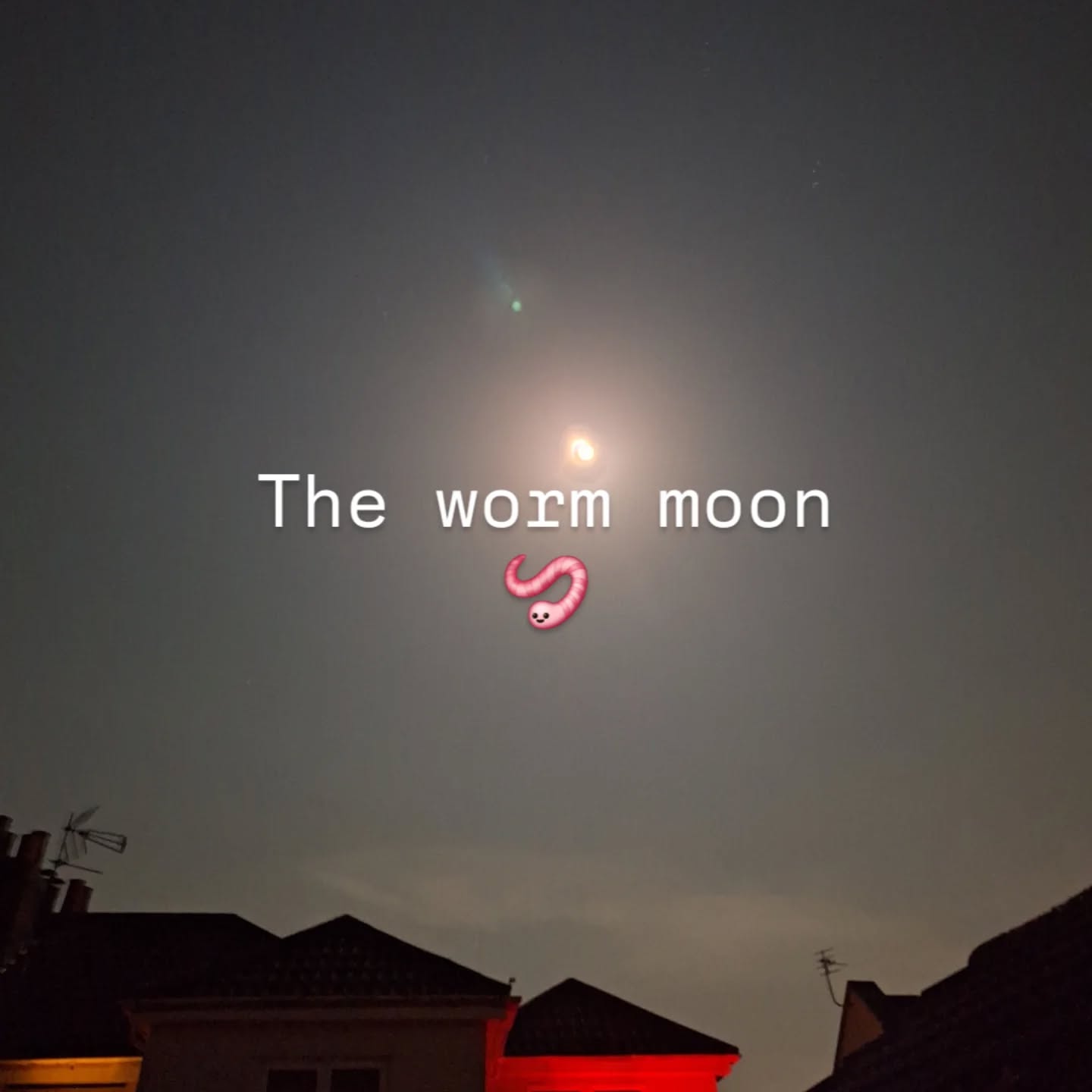 I didn't sleep out last night - tricky on a school night. I went for some bedtime moon bathing instead.
So bright.
So beautiful.
Time to pause in praise of the moon.
We've certainly been finding lots of worms at forest school too.
#fullmoon #wormmoon #moonbathing