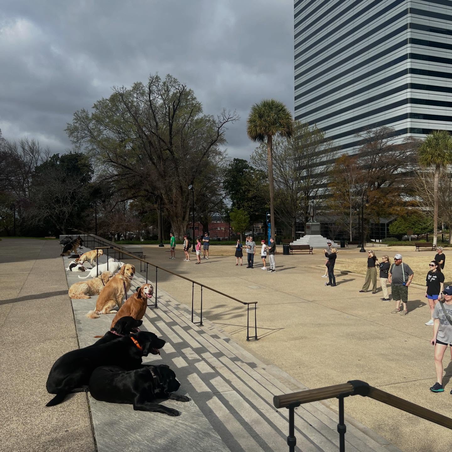 Great graduate class this morning with our first 20 dog class of the spring! 🐶🎓☀️