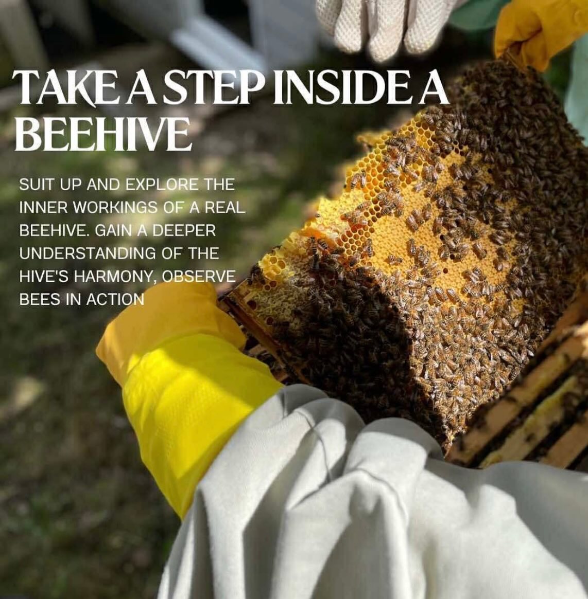 All our 2026 Bee Experience days sold out before Christmas, so we’ve added one more date:
Sunday 16th August 10:30am - 3pm.
If you’re interested and would like to join us, please get in touch for more information.
www.honeybyian.com