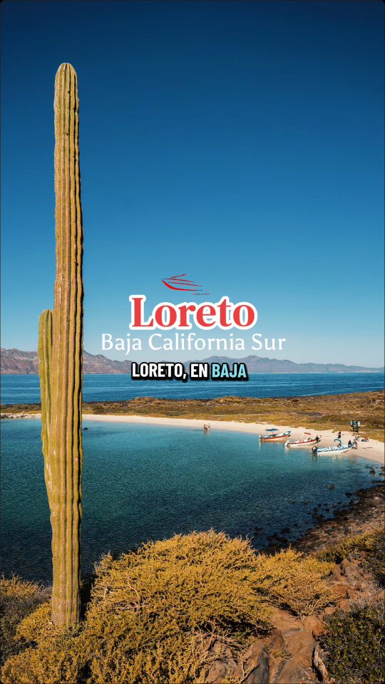 🌊✨ Descubre la magia de Loreto, BCS
Imagina navegar entre islas de ensueño, lanzar tu caña en uno de los mejores destinos de pesca deportiva y vivir la emoción incomparable del avistamiento de ballenas 🐋
💙 Sumérgete en aguas cristalinas
🏝️ Explora paisajes que parecen sacados de una postal
🎣 Siente la aventura en cada momento
Loreto no es solo un destino… es una experiencia que se vive con todos los sentidos.
📲 Reserva hoy mismo: 613 124 4158
🎟️ Obtén 10% de descuento con el código 4MTR4
🌐 https://www.guaycura-adventures.com
#LoretoBCS #LoretoMexico #BajaCaliforniaSur #WhaleWatching #AvistamientoDeBallenas