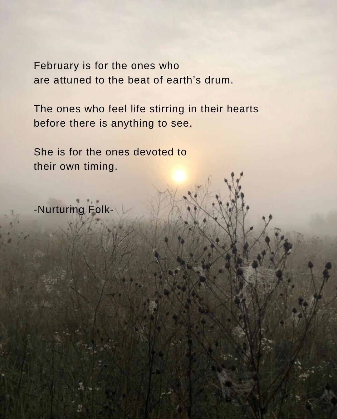 If February has you feeling tender
and caught between resting and rising… this is for you 🫶🏽
February brings the invitation to hold…
To hold action and stillness,
to hold growth and pause,
to hold rooting and rising…
She asks something different of us, she asks us to hold ourselves in this moment.
We are still in a liminal space, even as spring begins to slip in through low light and first buds.
This is not the time to rush forward or grasp for momentum.
This is our chance to listen… more carefully than we are used to.
To get more still than might feel comfortable.
To hear the life that wants to move in you and through you.
There is an attunement to your rhythmic intelligence at this time of year.
You can feel it in the low light, in the damp soil,
in the body that is not quite winter heavy
and not yet spring ready.
Life is stirring, yes,
but growth is not asking to be rushed.
This is where deep listening becomes an act of self trust.
And when it is time to move,
move by your rhythm rather than societal urgency. Let the body speak before the mind makes a plan.
This time of year is emerging, not an emergency.
Can you let yourself pause, breathe, and notice what is genuinely gathering?
February lives in the in between. This is not the time to force anything.
It’s all in your rhythm, your timing.
Tend your seeds, doula this moment
and let the rest arrive in its right season.
Rest well in the listening. 🌒
Ali xx
Share this with someone who needs permission to go a little slower and find their rhythm right now.
#slowdown #seasonalliving #wordstoliveby #medicinewoman #writersofig
February / rest / root to rise / woman / Mother Earth / nature lover / hedge witch /spiritual awakening