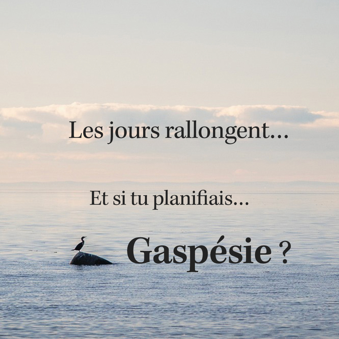 Les jours s’allongent doucement, la lumière revient… et toi, as-tu pensé à ton prochain souffle en Gaspésie ?
Laisse derrière toi le bruit et le stress. chez julio, tu trouveras le repos qui te manque : un cocon calme pour ralentir, te faire du bien, commencer chaque journée avec un petit-déjeuner maison préparé avec soin.
En route vers la Gaspésie ? C’est l’endroit parfait pour faire une pause, respirer, recharger.
📞 Réserve direct au (418) 956-6122
ou par
💬 WhatsApp : (418) 956-6122
www.gitechezjulio.ca
#gaspésie #tourismegaspesie #gite #canada #canada #quebec #quebeccity #gitechezjulio #sainteflavie
👇 Commente si tu planifies déjà ton été !
