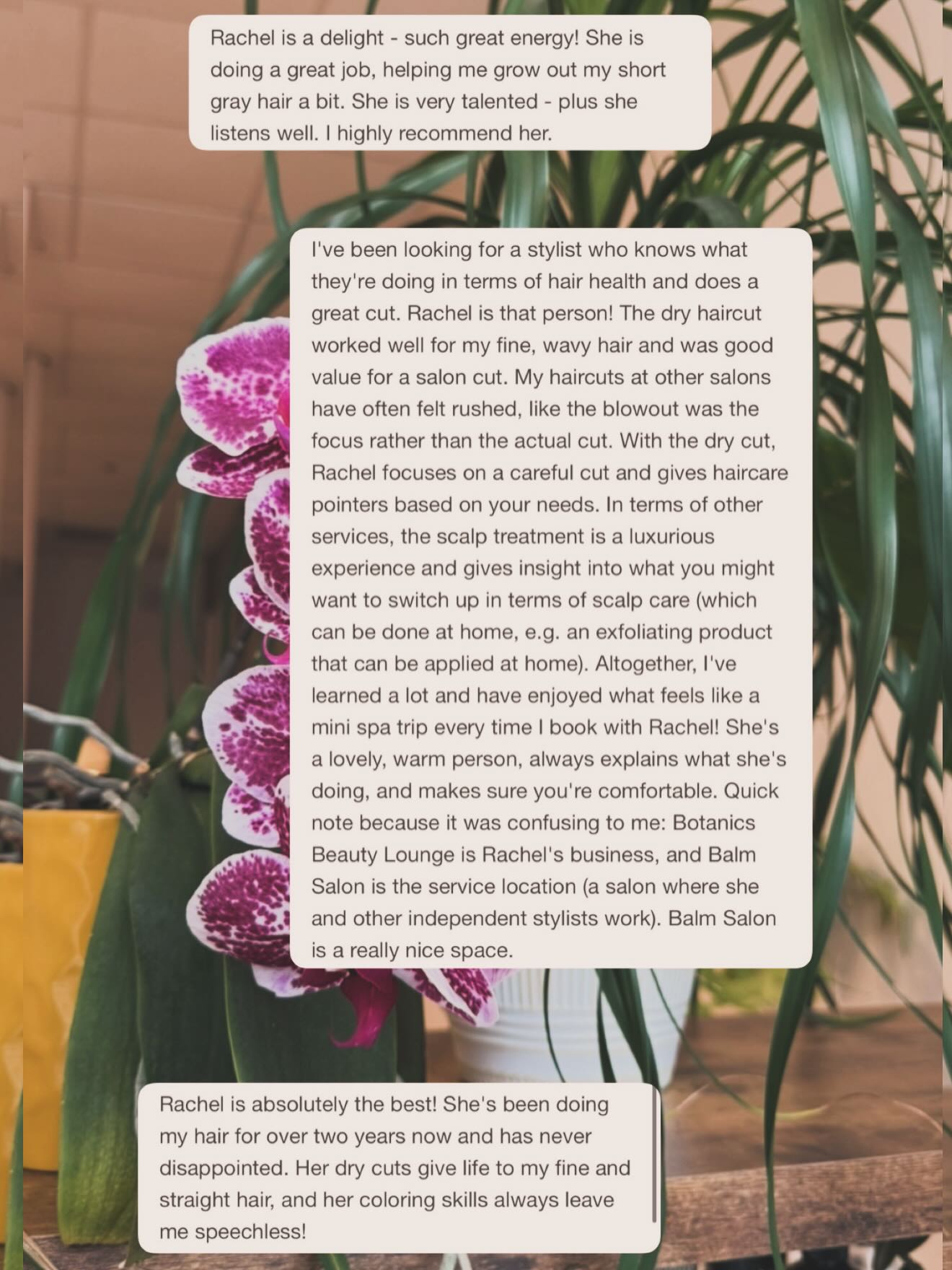 @botanicsbeautylounge’s clients always have the best things to say about Rachel! 🤩
#local #avl #828isgreat #riverartsdistrict #balmsalonandspa