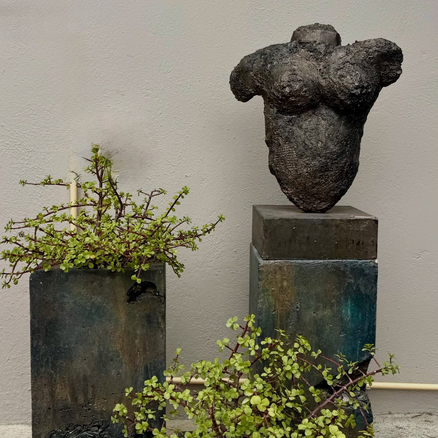 Meet lokal artist Sedney. Sedney transforms raw stones and concrete into powerful sculptures full of character and presence.
Strong. Timeless. Pure. All handmade.All unique.
Discover his work and follow the journey:
👉 https://www.instagram.com/sedneyfelisieart
https://www.facebook.com/sedneyfelisieart
#StoneSculpture #MeetTheArtist #curacaoart #Sculptor