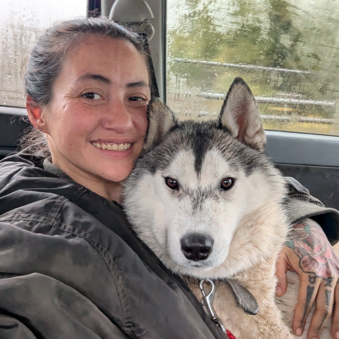 Lupin before and after neuter surgery today. He did so well!
ルパンの去勢手術が無事に終わりました。よく頑張った。偉いぞ!
#rescuedog #neuteryourpets #husky #deafdog #sanctuarylife