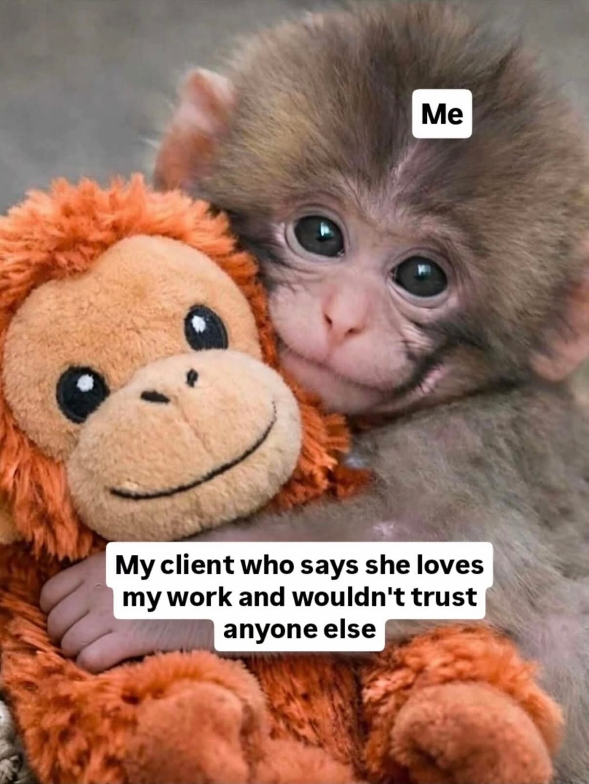 Stopppp this is literally how I feel about my clients 🥹🧡
The ones who trust the process.
The ones who send healed pics.
The ones who swear they’d never go anywhere else.
The ones who refer their whole group chat to me.
After a long day of making girls feel confident… I go home tired but SO grateful.
My clients aren’t just clients, they’re my little loves. 🫶🏽✨
#LocococoAesthetix #GratefulHeart #AestheticNurseLife #TrustTheProcess #clientappreciation