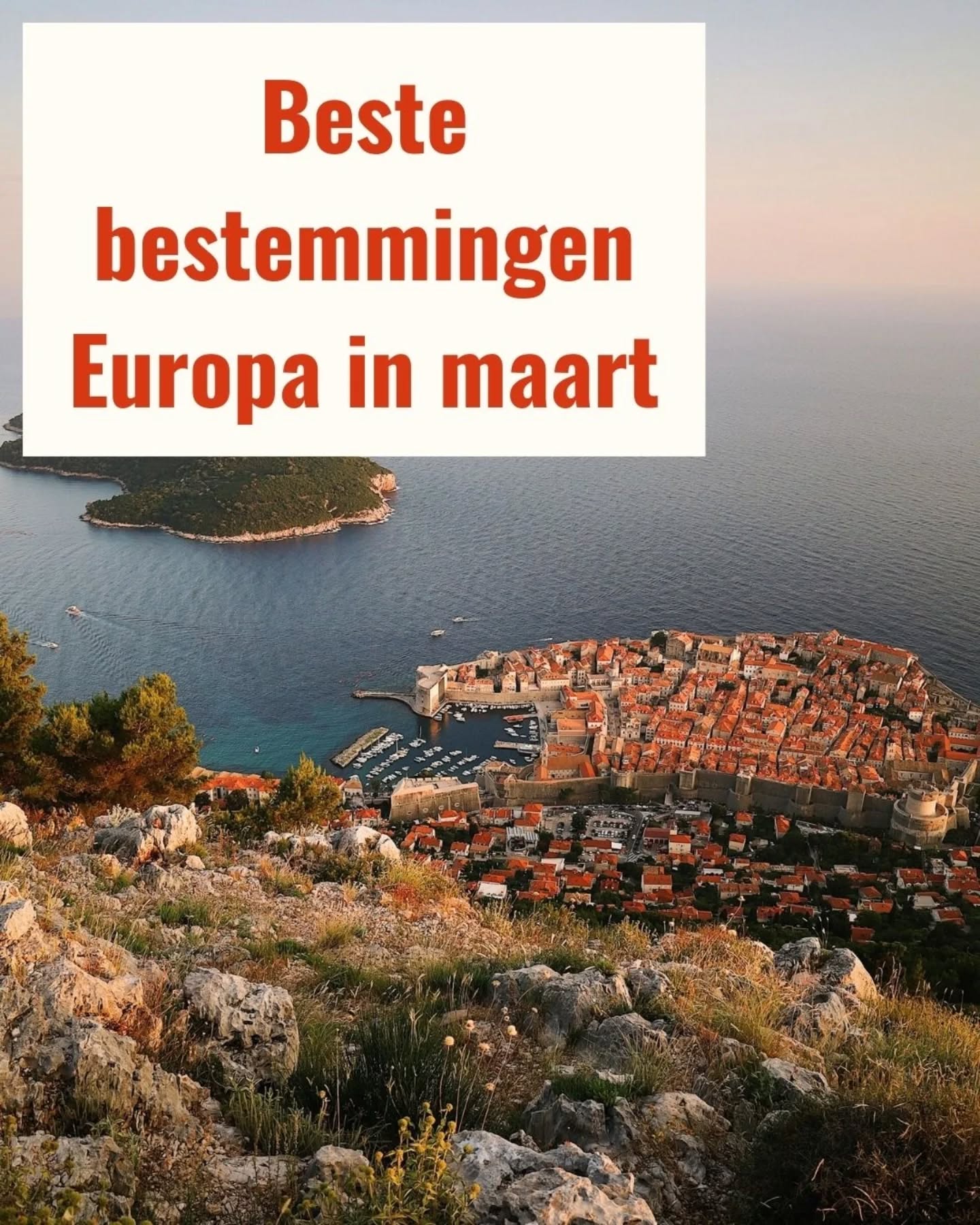 Maart is misschien wel de meest onderschatte maand om Europa te ontdekken 🌍✨
Van bloeiende landschappen in de Algarve tot Saint Petrick's Day in Belfast en rustige tulpenvelden in Nederland-dit is hét moment voor een voorjaars citytrip of actieve vakantie zonder massatoerisme.
Benieuwd welke bestermming het beste past bij jouw reis in maart?
👉 Laat je reis slim samenstellen via metthijsopreis.com
👉 Volg metthijsopreis voor meer reisinspiratie!