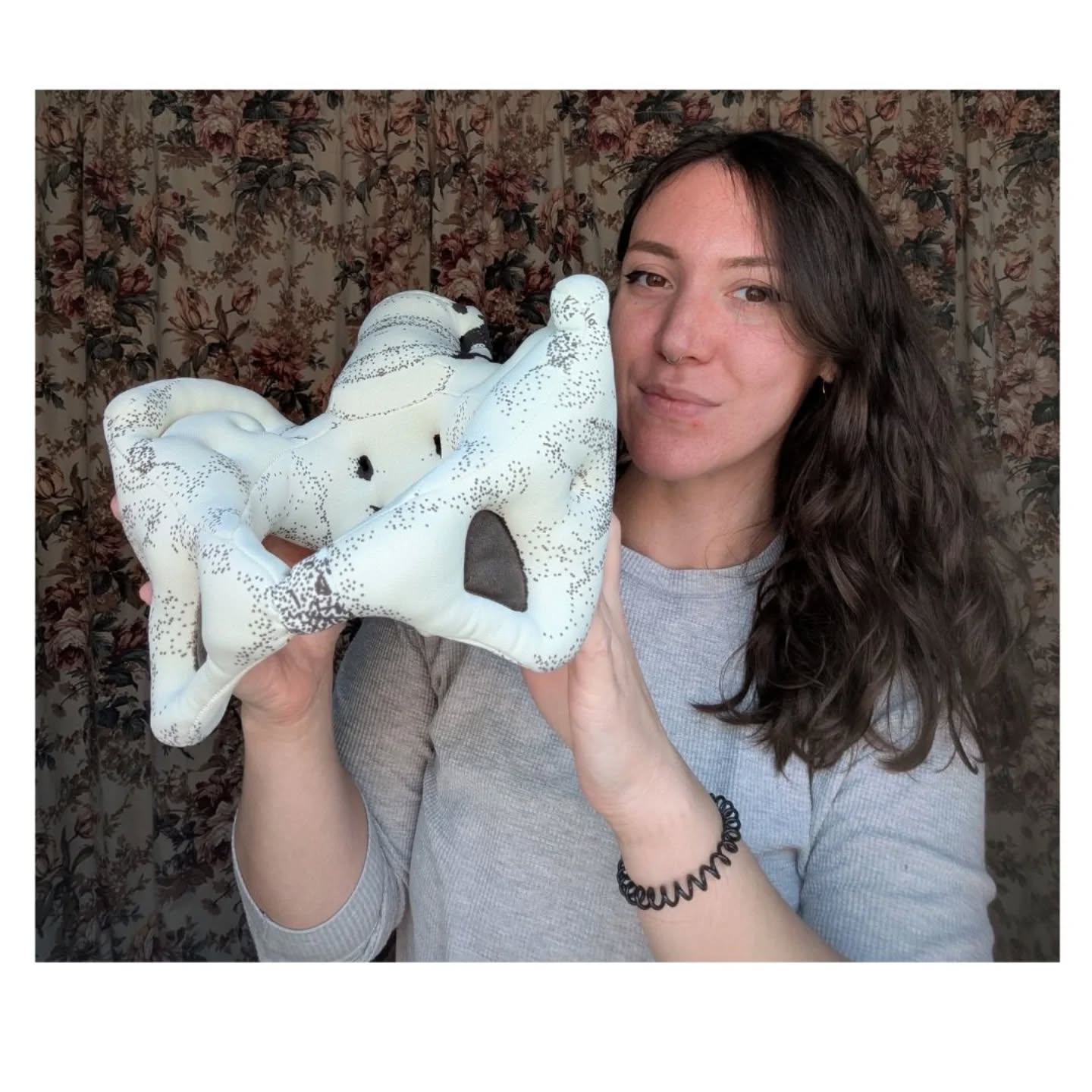 Cloth pelvises, updated website illustrations, a cake I finished at 2am, and some silly 🪿