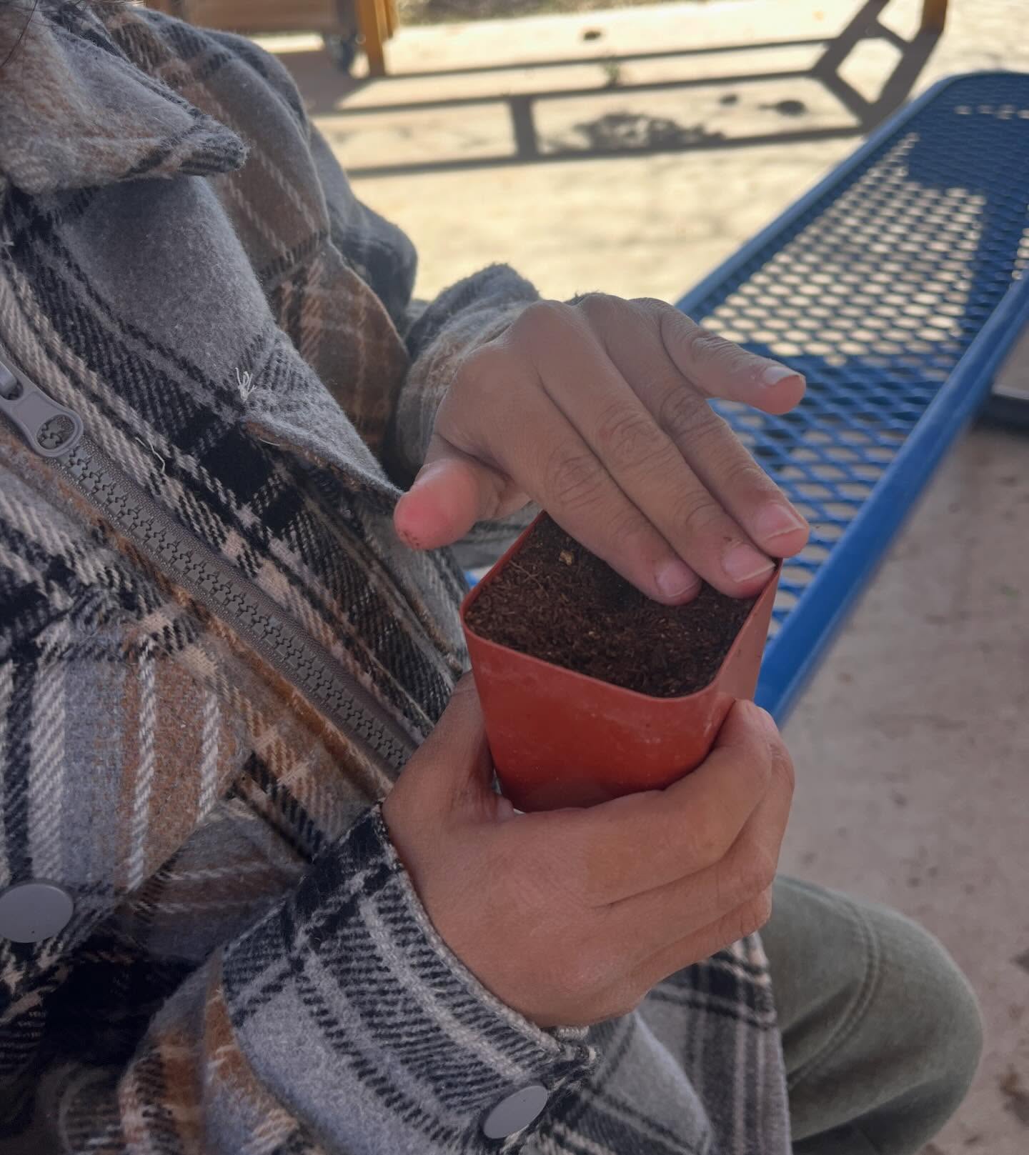 Tiny hands planting tiny seeds 🌱
This week we’re learning about how to plant seeds.
The key takeaways from the lesson are:
- how to read a seed packet
- planting depth
- meaning of germination
The golden rule we use is planting the seed 3 x the depth of the seed so we planted our peas 3 PEAS DEEP! 🫛 🫛 🫛
#seedstarting #lettuceturnipthebeet #schooltofarm #mstfp #springhassprung