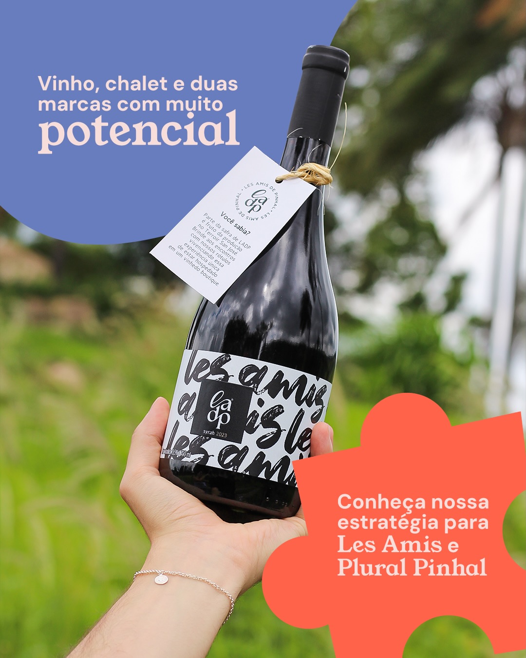 O Les Amis e o Plural Pinhal valorizam a importância dos encontros e do presente. Ambas as marcas, de vinhos e hospedagem, buscam trazer uma experiência sensorial completa, mas cada uma representa um papel diferente para o nosso cliente.
O desafio da Kiron foi entender a estratégia e posicionamento de cada uma, trazendo clareza e propósito. Entender o contexto, o público e a função de cada marca foi necessário para construir uma narrativa consistente.
A partir disso, definimos um posicionamento claro: Les Amis como marca-mãe, guardiã do mundo sensorial, enquanto o Plural Pinhal se tornou uma extensão da experiência, onde esse universo ganha corpo e permanência.
Essa diferenciação é essencial para que cada marca se comunique com seu público ideal, de forma mais relevante e coerente, fortalecendo a percepção, a experiência e o valor entregue por cada uma.
Se a sua marca também precisa de clareza para crescer, a Kiron pode desenvolver a estratégia ideal.