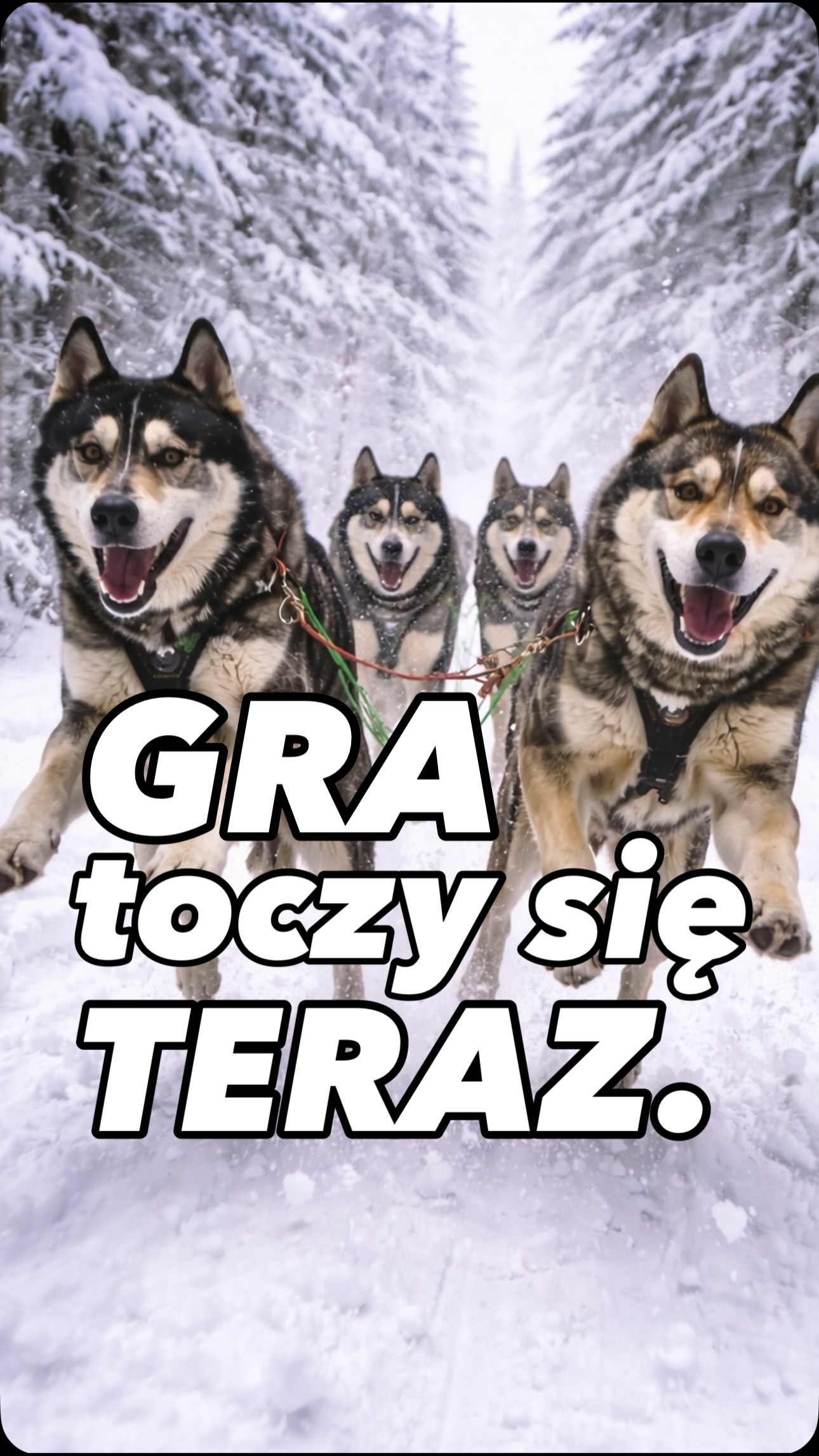 Zima nie zwalnia ❄️❄️❄️
Monochromatyczne kolory jeszcze trzymają tempo.
Ale lód zaczyna pękać.
Najszybciej odmrażają się neonowe akcenty.
To dopiero początek.
Paleta na ten rok właśnie się budzi.
@idtokyo_eyewear focus on you
🔥U Was jak tempo?
💬Które modele schodzą teraz najszybciej?
✅Wchodzicie czy obserwujecie?
#ZimaNieZwalnia
#idtokyo
#TempoBezKompromisów
#WchodziszCzyObserwujesz
okulary
*Okulary to wyrób medyczny, używaj go zgodnie z załączoną etykietą.