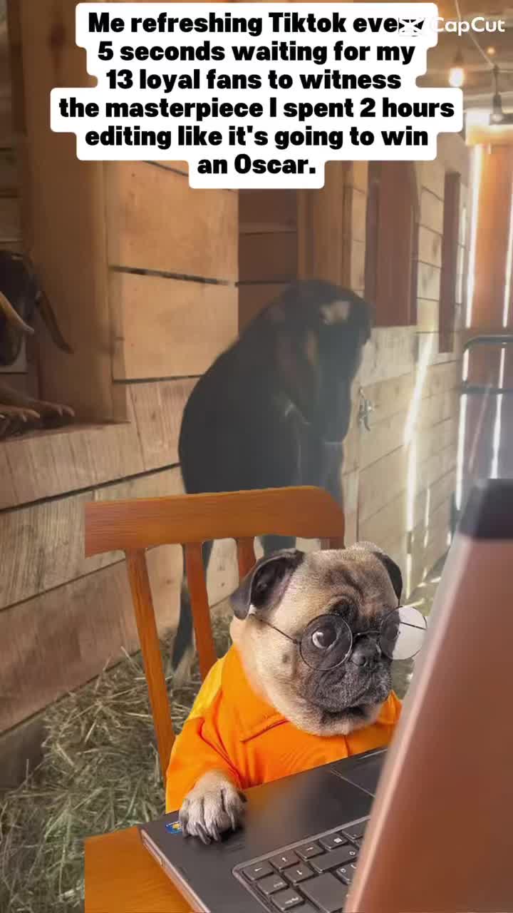 I’m not sure what Monica is looking at, but it must not be good. 🫢
Just for fun! 😁