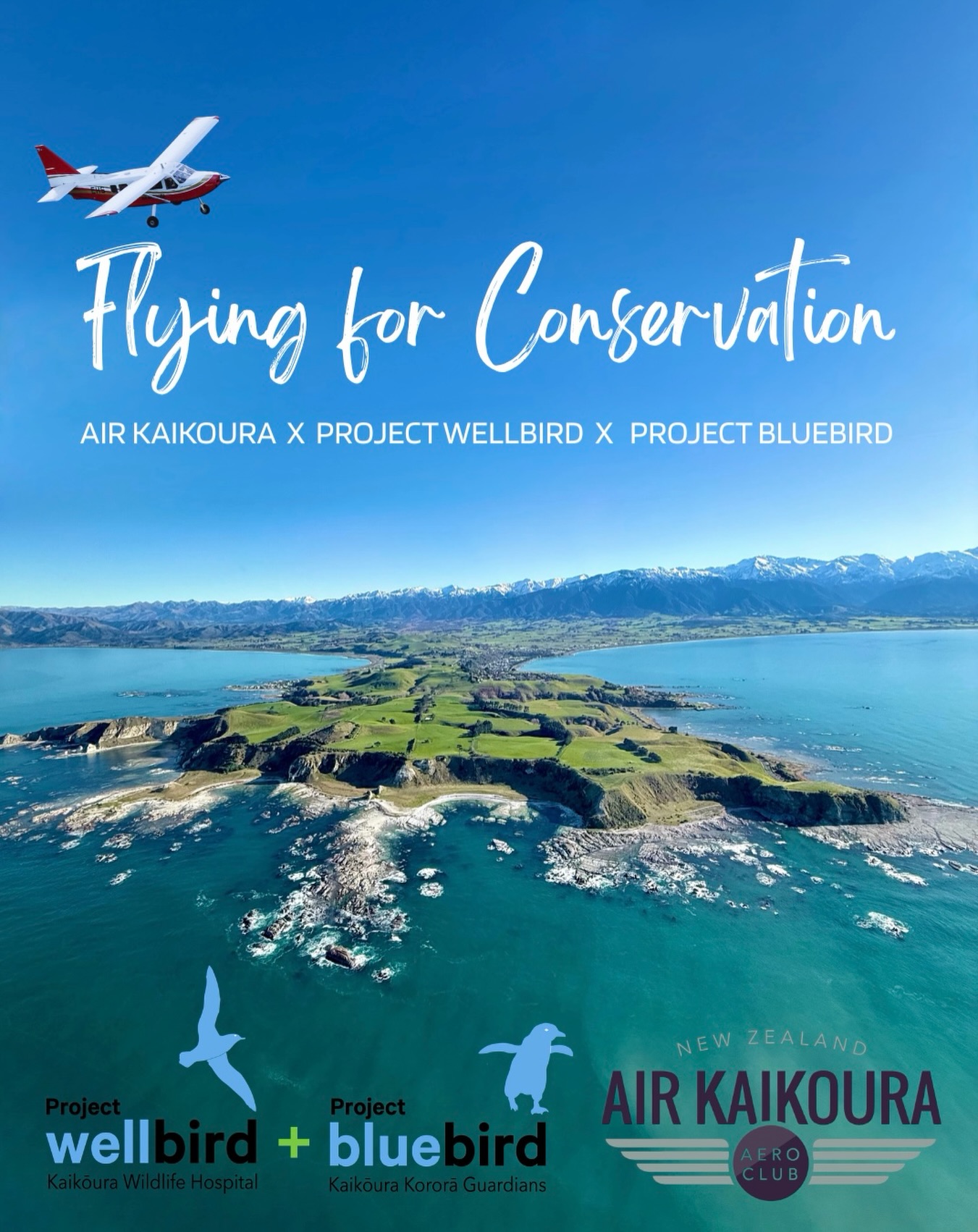 We are beyond excited to officially announce that Air Kaikōura is now a proud Gold sponsor of Project Wellbird & Project Bluebird 💙💚
Not only are we honoured to support this incredible organisation, but we are especially proud to be their first major local sponsor ✨
Every day, we’re lucky enough to fly above this stunning coastline, sharing Kaikōura’s mountains, ocean, and wildlife with visitors from around the world. Protecting and restoring our local ecosystems ensures future generations can continue to experience the magic of this special place,both from the ground and from the sky.
That’s why we’re proud to support the incredible work of the Kaikōura Wildlife Trust. Through initiatives like Project Bluebird & Project Wellbird, the Trust focuses on habitat restoration, predator control, species monitoring, and strengthening biodiversity so our birds can thrive for generations to come 🪶
We are honoured to stand alongside the Kaikōura Wildlife Trust and can’t wait to see the positive impact these projects will continue to have on our community and our wildlife 🤍
Flying for conservation. Flying for Kaikōura. ✈️
You can help in impactful ways by supporting this cause: www.kaikourawildlifetrust.org 🫶🏽