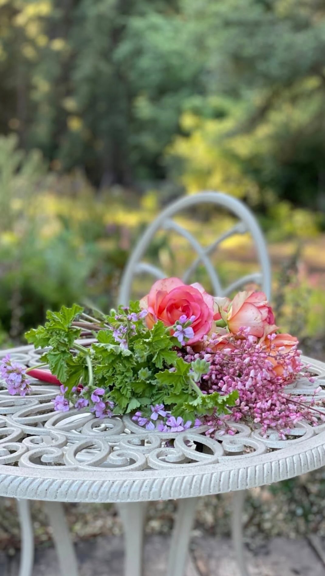 This week’s podcast episode is about hitting that pause button and choosing to be present in the moment of life. Join us as we chat, “Modern Floriography: Flowers, Gardens, and Gifts Inspired by the Language of Flowers,” with author @teresasabankaya! 📖💐✨
Stream Episode 758 this Wednesday, March 4th!
#slowflowerssociety #slowflowers #slowflowersmovement #sustainablefloristry #sustainabilty