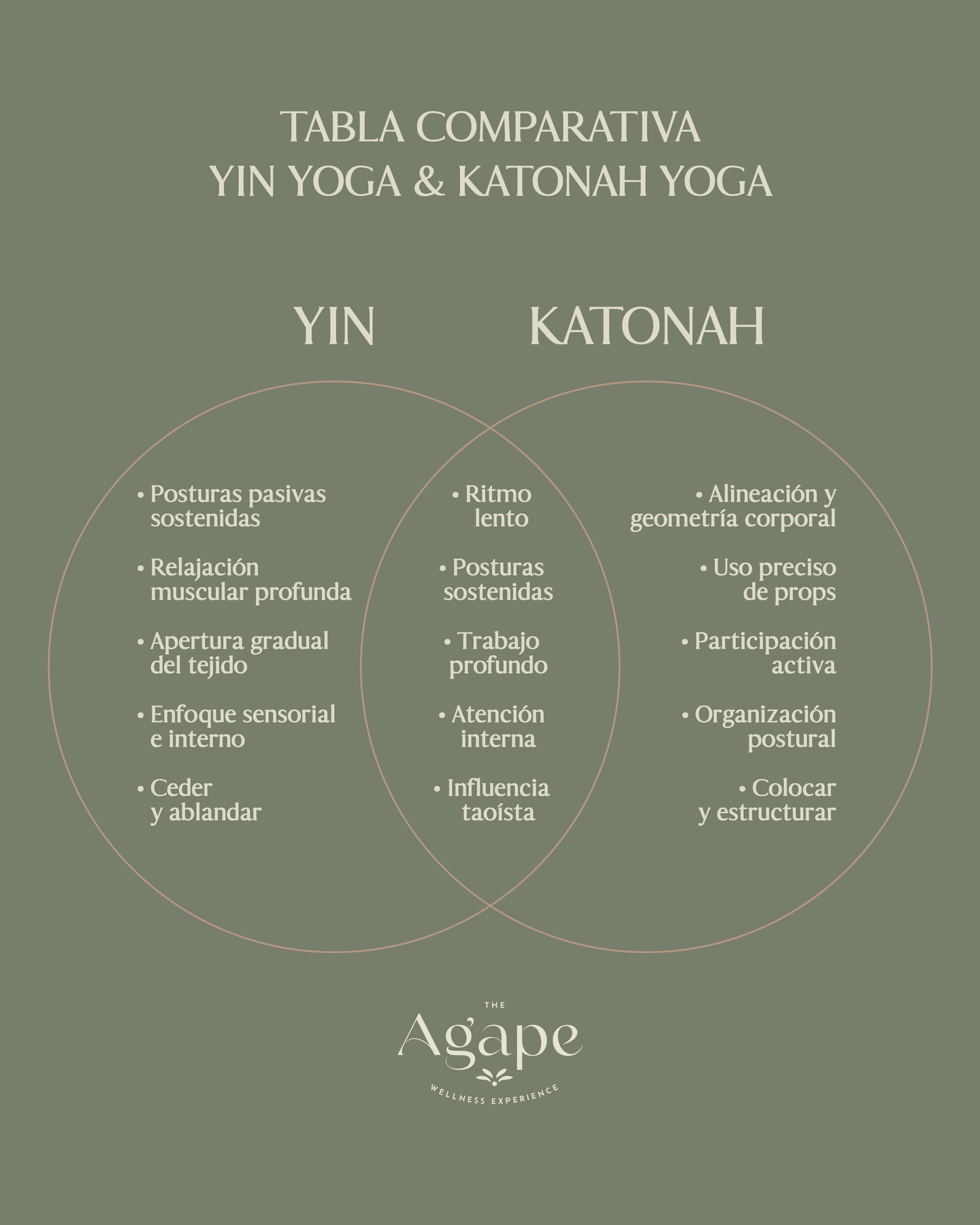 CUÁL PREFIERES TU?
Mientras Yin Yoga te invita a soltar y rendirte en la quietud, Katonah Yoga te enseña a organizar tu cuerpo con precisión e intención.
Ambos transforman.
¿Qué necesita tu cuerpo hoy?
#YinYoga #KatonahYoga