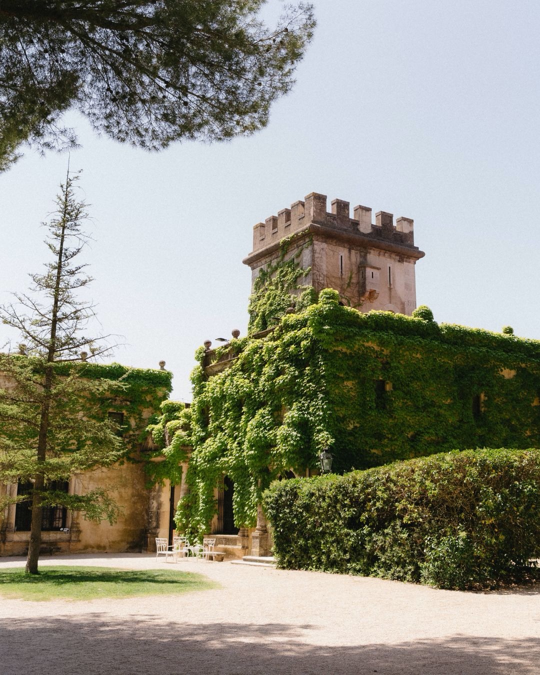 Resumen de cómo fue el fotomatón del enlace Raquel y Víctor en la finca Torrefiel, Valencia.
Diseño personalizado con diferentes formatos de foto y de impresión para sus invitados.
✉️info@lightbox.es