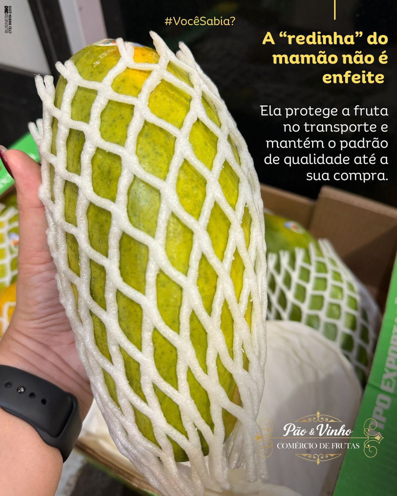 Curiosidade de bastidor aqui no Pão & Vinho: essa espuma que envolve o mamão funciona como uma proteção inteligente. 🥭
✨Ela evita arranhões e batidas, reduz manchas por atrito e ajuda a fruta a chegar mais bonita e íntegra, mesmo depois de longos trajetos e manuseio. Outro detalhe: mamão com padrão de caixa e proteção assim normalmente passa por seleção mais criteriosa, porque o objetivo é manter aparência, firmeza e qualidade até o destino final.
Quer escolher o mamão certo? Procure por casca mais uniforme e leve maciez ao apertar de leve, sem partes moles demais. ✅
📍 Ceasa Curitiba – Pavilhão D, Box 248 e 249📲 (41) 99143-6215
#PaoEVinho #FrutasSelecionadas
#Dicasdapaoevinho
#AgenciaBusiness360