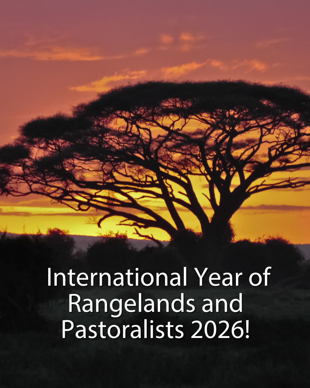 As the world looks toward the International Year of Rangelands and Pastoralists 2026 (IYRP2026), CarbonSolve and partners Soils for the Future Africa and Soils for the Future Tanzania are demonstrating how regenerative grazing and carbon-financed rangeland restoration can turn IYRP’s vision into action, especially across East and Southern Africa.
This model demonstrates that the long-term survival of pastoralism itself is inseparable from the protection, restoration, and sustainable financing of rangelands. In a rapidly changing climate, approaches that restore rangeland health while sustaining pastoral livelihoods are foundational to the future of pastoral systems.
Projects like the Kajiado Rangelands Carbon Project in southern Kenya (recently awarded a BeZero Carbon ex ante rating of A.pre) illustrate how carbon markets can provide long-term financing for restoration while keeping land under community ownership, without fencing or privatization.
Learn more: https://www.carbonsolve.world/
#IYRP2026
#Pastoralism #Rangelands #RegenerativeGrazing #CarbonFinance #NatureBasedSolutions #ClimateAction