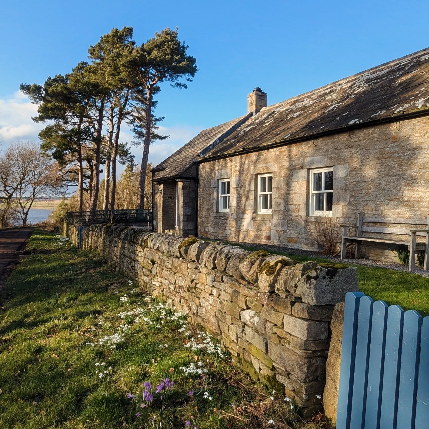 Signs of Spring 🌿☀️
The first signs of spring are here, with snowdrops and crocuses pushing through after the snow.
Sunshine and a clear blue Northumberland sky stretching all the way down to the reservoir.
#DerwentReservoir #Northumberland #NorthPenninesAONB #HolidayLetUK #CountrysideEscape