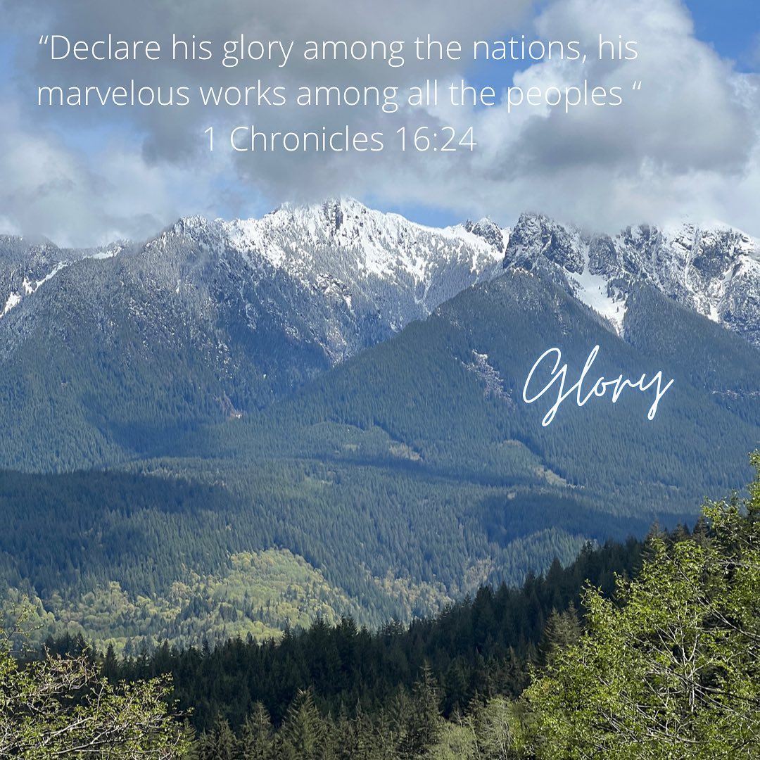 #Word Wednesday
Glory- highest honor, splendor, majesty
Am I living for God’s glory or my own glory?
“Not to us, O Lord, not to us, but to your name give glory, for the sake of your steadfast love and your faithfulness!” Psalm 115:1
You alone are worthy to receive Glory, Oh Lord!
#Jesus #womenoffaith #womenoftheword #bibleverses