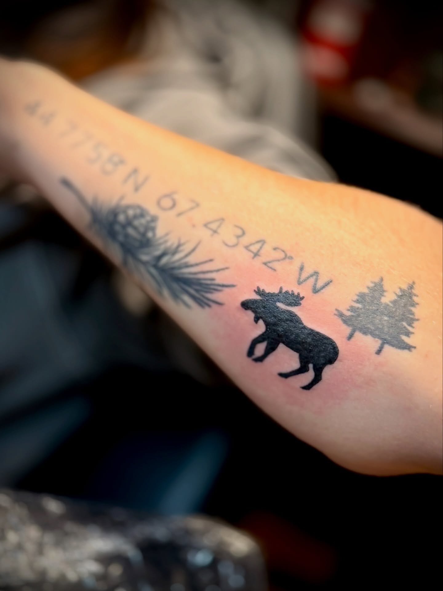 Added a little moose friend to an existing piece (done elsewhere) for Hadlee!
Done by @kayy.tattoos 🫎
.
Book via link in bio
.
.
.
.
.
.
.
.
#walkintattoo #simpletattoo #tattooidea #tattoo #ellsworthmaine