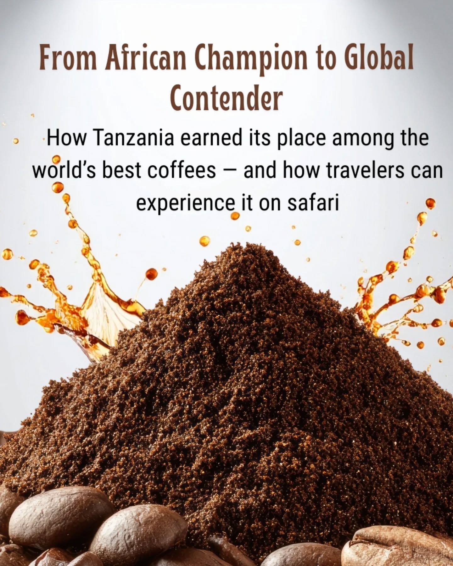 🌍☕ Tanzania is now #1 in Africa & #4 worldwide for coffee quality (AFCA 2026).
Most travelers know Tanzania for safaris.
Few know it’s now 🥇 #1 in Africa & 🌍 #4 worldwide for coffee quality at the African Fine Coffee Awards 2026.
Coffee here isn’t just tasted — it’s experienced.
Farms, farmers, flavors, and culture.
Add a coffee tour to your safari with Gnade Safaris ☕🦁
👉 Read more: https://www.gnadesafaris.com/post/tanzania-best-coffee-afca-2026
#CoffeeTourism AFCA2026