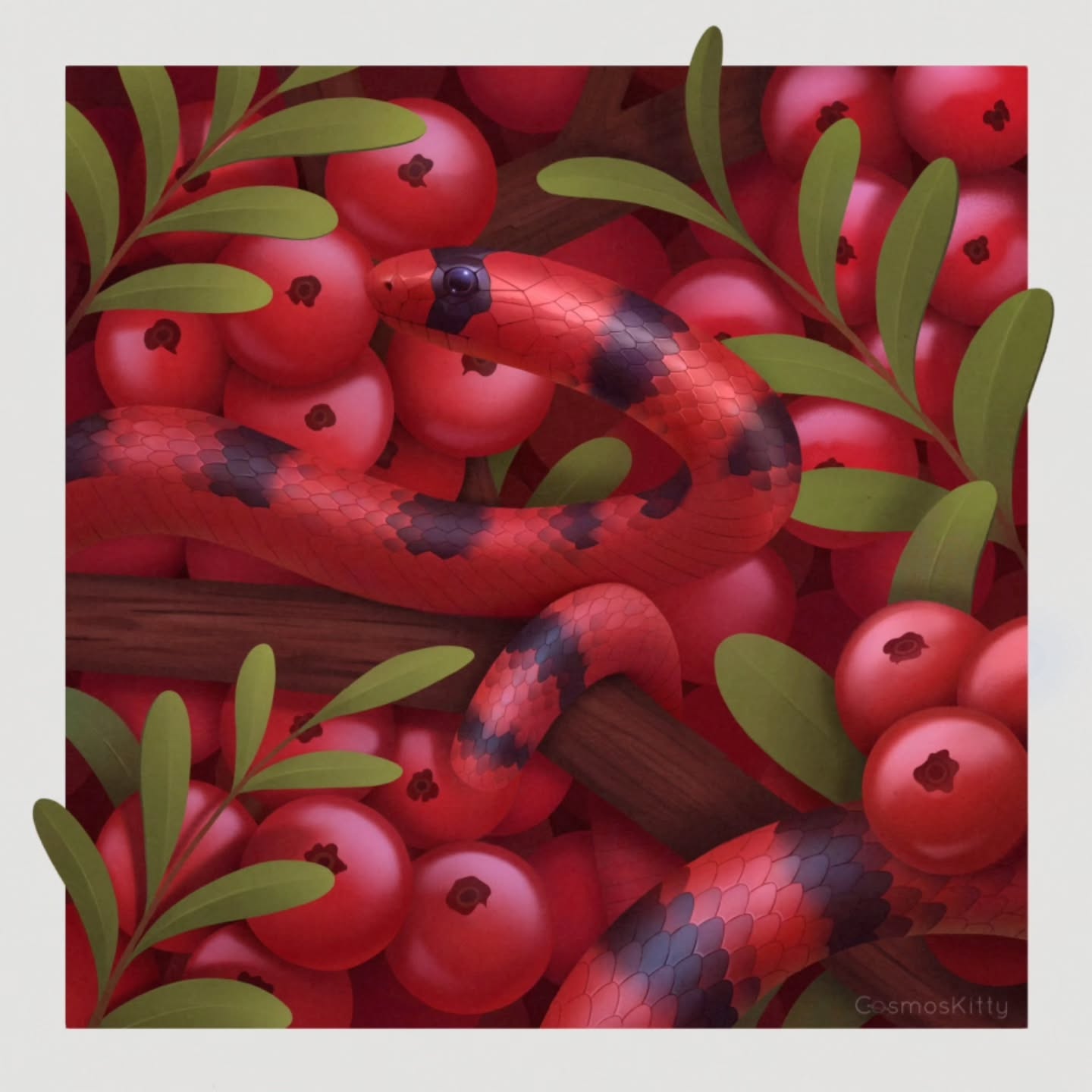 The final two snakes are here, scroll to see the process videos! 🐍🍇
Sinaloan Milk Snake + Cranberries
Large Eyed Pit Viper + Grapes
I'm super happy with how all of the snake illustrations came together as a set, I would almost do more if I wasn't sick of drawing scales 😅