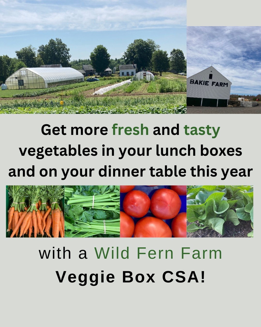 We are offering a Veggie Box CSA subscription for the 2024 main growing season!
18 weeks of a pre packed box of certified organic vegetables grown at Wild Fern Farm in Kingston at Bakie Farm
Box pickup locations will be at Bakie Farm in Kingston and the East Kingston Public Library!
Subscriptions run from June - September
For more information, check out the link in the Wild Fern Farm bio.
#eastkingstonpubliclibrary #agriculture