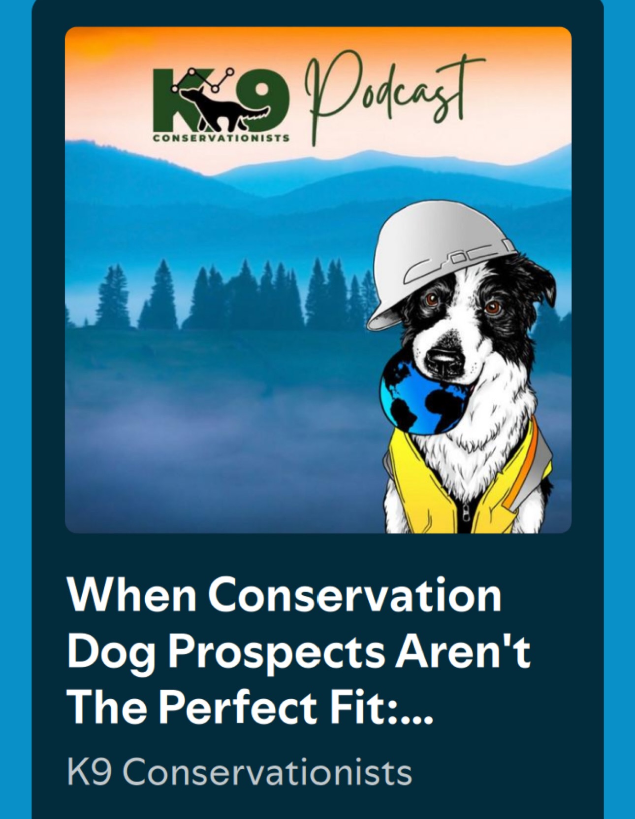 We are so excited to share that pack leader Debi DeShon is featured on the latest episode of the K9 Conservationists podcast! Debi and Kayla discuss the journey of screening dogs, training, and what happens when a prospect is not a perfect fit for the job.
It’s available wherever you listen to podcasts. Link is on our story and in our bio.
Go check it out today 😁