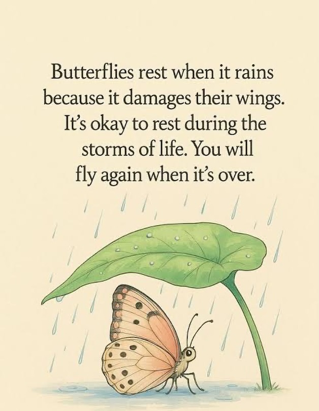 Aloha,
It’s been a while. Too long, and I am sorry I haven’t been sharing the Chakra and Tea love. I know 2025 was a year for everybody in so many ways, it certainly was for me. My Mum became my heavenly Angel last year after a very short illness.
I saw this quote about Butterflies a while ago and it certainly resonated with me. My Mum was partially deaf and supported the Deafness Foundation, purchasing the Butterfly keyrings and badges for us over the years.
“Butterflies rest when it rains because it damages their wings.
It’s okay to rest during the storms of life.
You’ll fly again when it’s over.”
So I’ve have been resting like the butterflies do when it rains.
After copious cups of Tea, I am ready to embrace 2026.
Your continued loyalty and patience are deeply appreciated.
As a heartfelt thank you from me to you, if you are already signed up to my newsletter check your emails for a special gift. If you are new to SpiritualiTEA, sign up via the website to receive a 10% discount now.
May your cup be filled with love, laughter and healing tea.
🫖Cheryl
Art source: Pinterest/unknown artist
#chakras #tea #spirituality #smalbusiness #melbourne