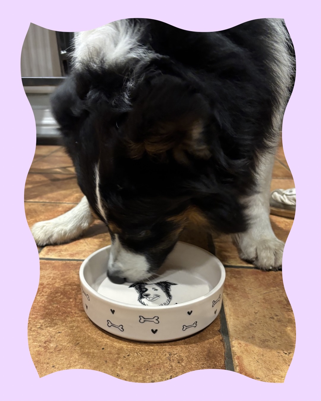 Max için sevgiyle şekillenen bir mama kabı 🐾
İlk görüşte aşk yaşadı diyebilirim 🫠
Patili bebişiniz için benzer bir parça isterseniz DM’den ulaşabilirsiniz 💌
———————————————
A bowl shaped with love for Max 🐾
I can say it was love at first sight 🫠
If you’d like a similar piece for your furry baby, feel free to DM me 💌