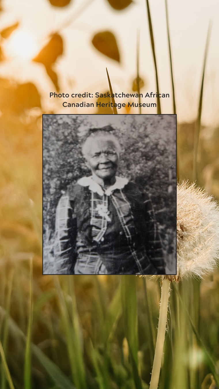 🌾 Rooted in Her Hands is a Black Woman Plant Chronicles series honouring the Black herbalists and plant keepers whose wisdom shaped our survival and our joy.
This episode shares the story of Ms. Mattie Mayes, a pioneering Black homesteader, midwife, and healer whose herbal knowledge helped sustain one of the first Black farming communities in Saskatchewan. She tended to her neighbours with prairie plants, care, and quiet strength.
If you’re ready to explore this herbal legacy with me, meet me on YouTube.
The roots are deep and the stories are powerful.
#RootedInHerHands
#BlackWomanPlantChronicles
#BlackHistoryMonth2026