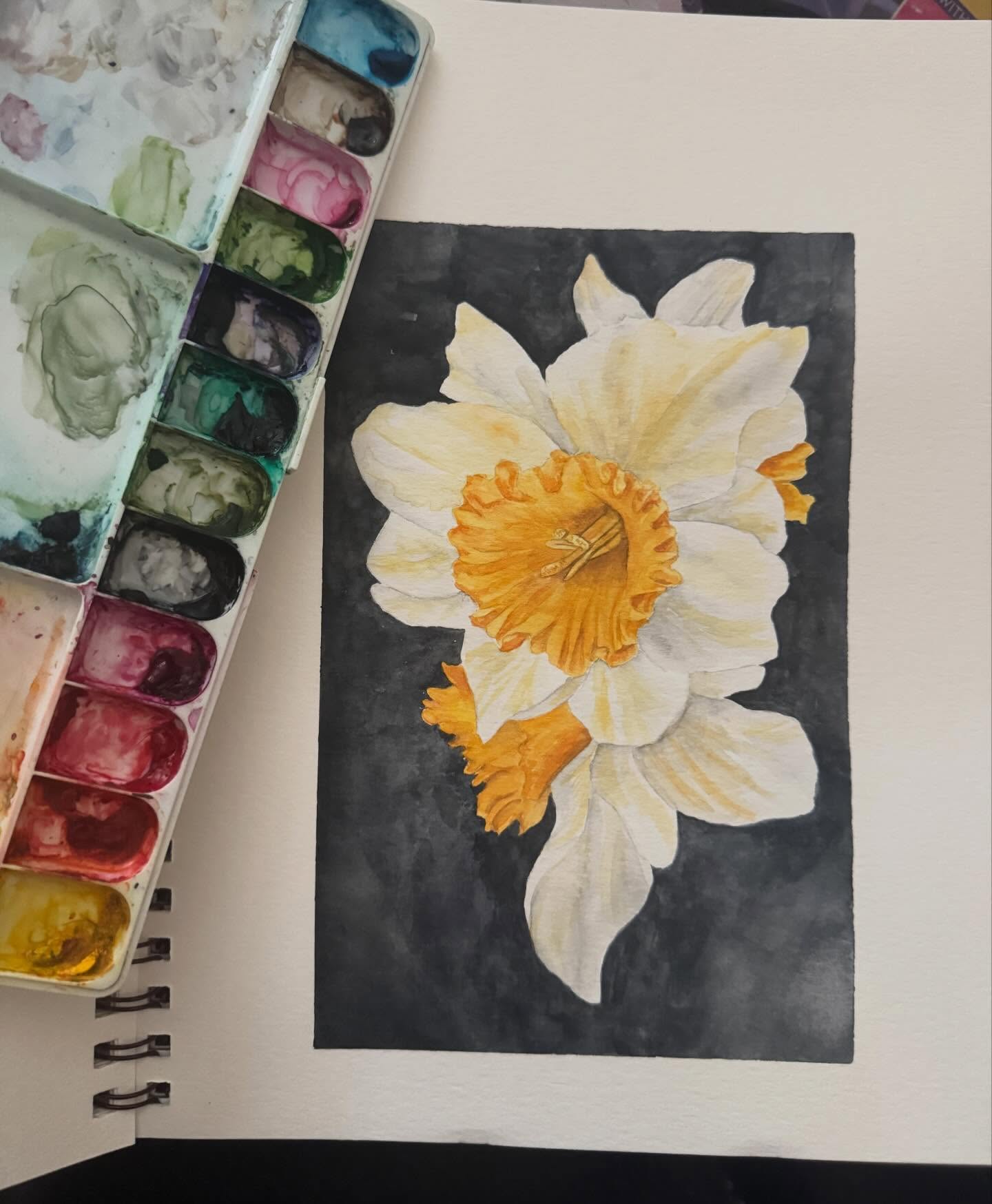 Daffodils — March’s flower of the month — in watercolor ✨
Paint along with me on Zoom. Find the class on website under zoom classes!