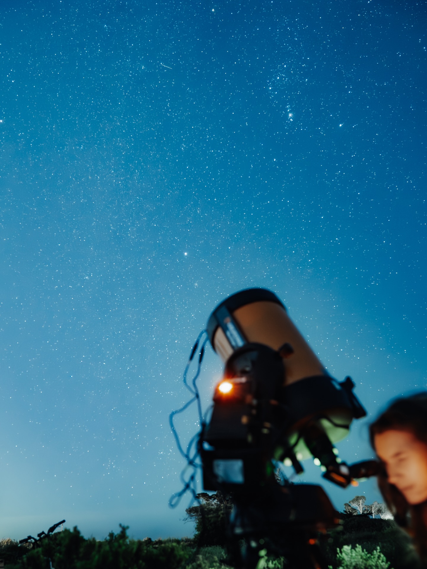 Wine, stars, and an evening to remember ✨
Explore the cosmos with passionate astronomers and a high powered telescope 🔭 glass of wine 🍷 in hand 👌
What’s included:
🌮 taco dinner
🍷 wine tasting
🤑 wine purchase discounts
🔭 stargazing with high-powered telescopes
Check out Alta Vista Tours link in bio to reserve your spot 🤩🌌