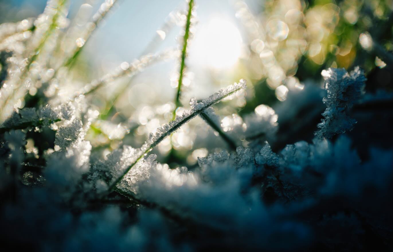 🌤️ The sun is creeping out to warm us, & our gardens too!
Maybe it’s time to take a closer look and see how healthy your soil is for the coming growing season.
Don’t risk it… Test it with #SafeSoilUK!
https://www.safesoil.co.uk/
#Gardening #SoilHealth #GrowYourOwn #SpringPrep