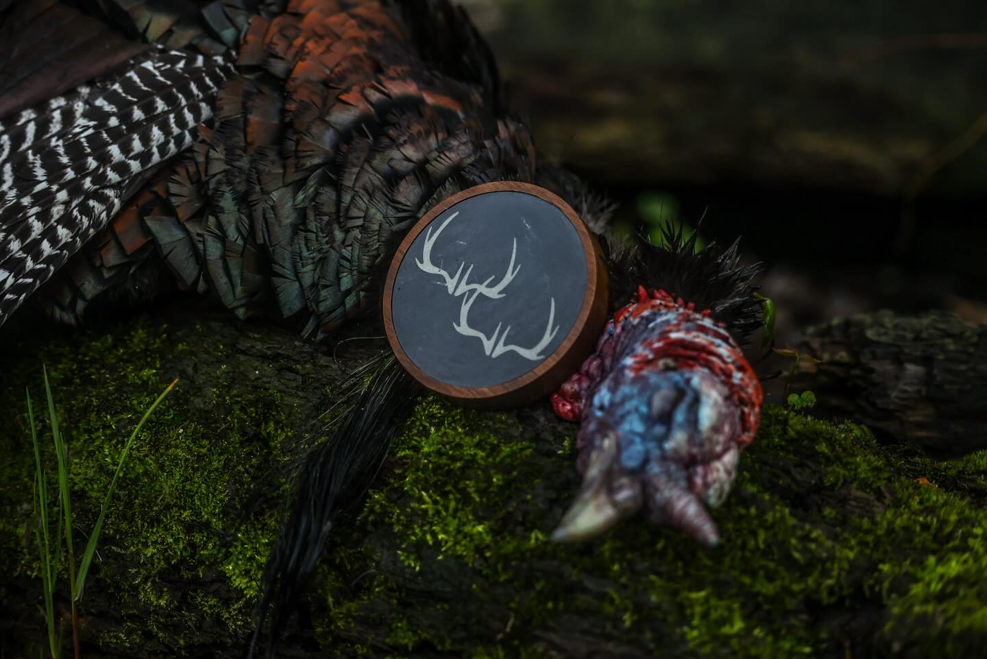 Join Women of the Wild for an Intro to Turkey Hunting – March 10th at 6 p.m.!
We are excited to announce that Felicia Marie will be hosting an online educational course through Ms.Guided in partnership with Women of the Wild. If you’ve ever wondered what turkey clucks, purrs, putts or kee kee ect actually mean, or you’re curious about habitat, species differences, and hunting strategies this course is for you!
Whether you’re brand new to the outdoors or looking to boost your confidence, I am here to help guide you through the fundamentals of turkey hunting to build your confidence!
What We’ll Cover
• Turkey vocalizations: clucks, purrs, yelps, keekee’s, cutt’s ect of what they mean and when turkeys use them
• Species differences & habitat understanding
• Scouting tips and how to locate birds
• Roosting & patterning strategies
• Blind setup basics
• Spot-and-stalk approaches
• Gear: what you need, what you don’t, and packing essentials
• Confidence building for new hunters
• Q&A for all your turkey-hunting curiosities
Why Join?
All proceeds from our online educational courses go directly back into Women of the Wild to support:
• Youth hunter programs
• Outdoor education events
• Educational materials
• Conservation-focused efforts to support the next generation
Event Details
📅 March 10th
🕕 6:00 p.m. (online)
🏹 Open to all skill levels, especially beginners!
We are so excited to share this knowledge with you and to help you get prepared for the upcoming season. Let’s talk roosting, patterning, calling, and all things turkey.
Let’s get you a step closer to being able to step confidently into the world of turkey hunting.
We can’t wait to see you there!
Register 👇
https://www.womenofthewild.net/product-page/intro-to-turkey-hunting