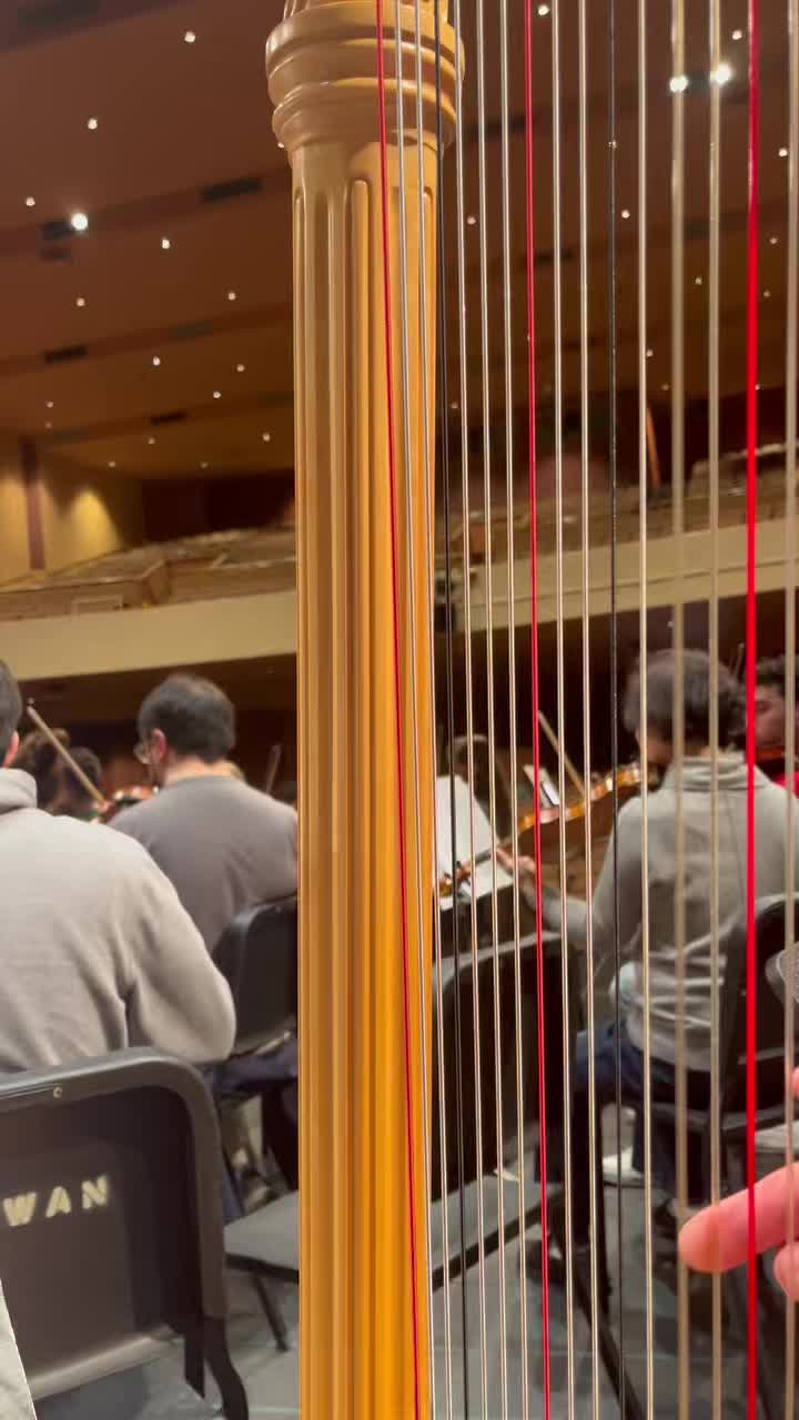 🎶 Westerville Symphony’s Masterworks II concert is tomorrow! Here’s a sneak peak during rehearsal today - listen to pianist Sarah Cahill bring to life Lou Harrison’s Piano Concerto! 🎹
The concert also includes Holst’s Japanese Suite and Sibelius’s Symphony No. 7 🎼💛
📍 Masterworks II - Westerville Symphony
🗓️ Sunday, March 1
⏰ 5:00 PM
📍 Fritsche Theatre at Cowan Hall, Westerville, OH 
#WestervilleSymphony #SarahCahill #LouHarrison #behindthescenes #LiveClassical #orchestra #SymphonySunday #westerville #harplife