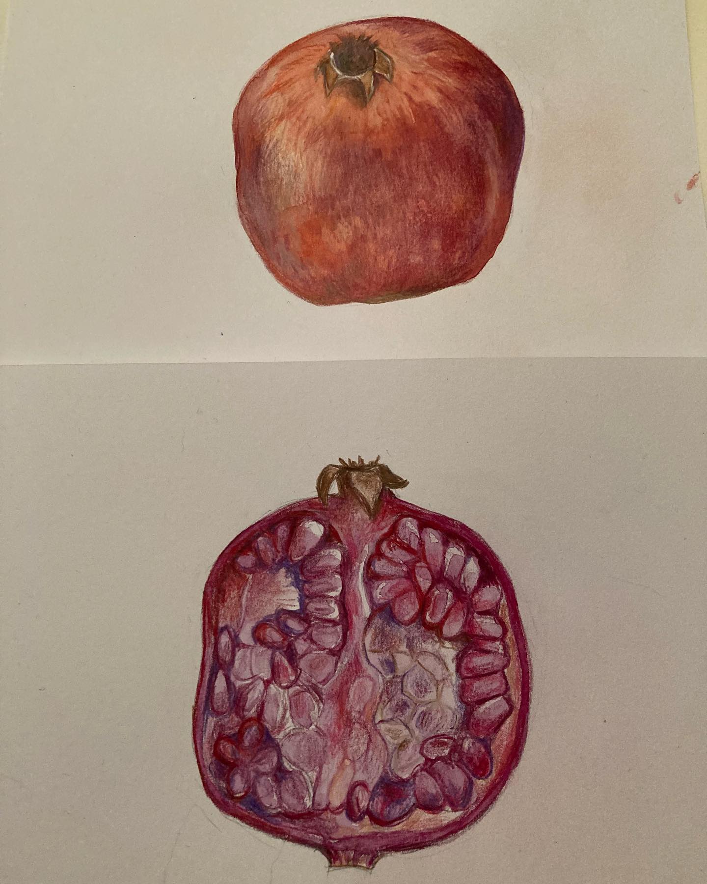 La grenade, selon la Diététique Chinoise!
Un dessin perso, ma recette préférée!
En dessinant l’intérieur de ma grenade, j’ai pris conscience de l’aspect tellement viscéral de ce fruit, son lien tellement évident, avec les globules rouges (selon la théorie des signatures), mais aussi avec l’intestin, tout ceci étant confirmé par l’étude des aliments qui soignent, selon la Diététique Chinoise!
La grenade est de nature tiède, de saveur douce et astringente, de tropismes Estomac/ Gros Intestin/ Reins. Comme beaucoup de fruits, elle produit les liquides, apaise la soif et nourrit le Yin.
Elle consolide les Intestins, arrête les diarrhées et traite les parasites.
Elle a aussi de nombreuses vertus étudiées aujourd’hui, grâce à ses propriétés antioxydantes: anti-inflammatoire, neuro-protecteur (en prévention de maladies dégénératives comme Alzheimer).
Elle est surtout reconnue, de par la forme de ses grains assimilés aux globules rouges, pour favoriser la circulation sanguine, nourrir le Sang et traiter le système cardio-vasculaire (cardiopathies, hypertension artérielle). Elle protège le Coeur, en aidant à conserver des vaisseaux sanguins souples et en évitant le « mauvais » cholestérol.
Les flavonols, antioxydants présents dans la grenade, sont aussi reconnus pour bloquer la production d’enzymes détruisant les cartilages, un atout contre les maladies inflammatoires de type arthrite. Elle serait aussi recommandée pour réduire les risques de cancer de la prostate.
Ma recette préférée: Les wings de chou fleur, yaourt à la betterave et grenade!
Recette sur mon blog (lien dans ma bio)
#grenade #grenades #melagrana #pomegranates #grenada #jusdegrenade #bonpourlasanté #dietetique #alimentsanté #dietetiquechinoise #mtc #madreperlamtc