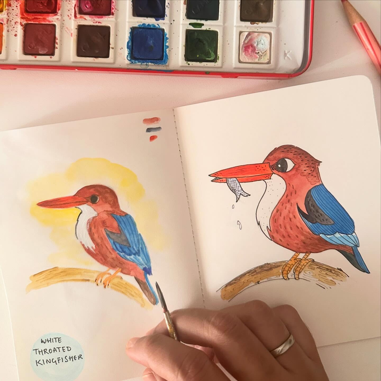 Spotted 3 kingfishers this month 🩵💙